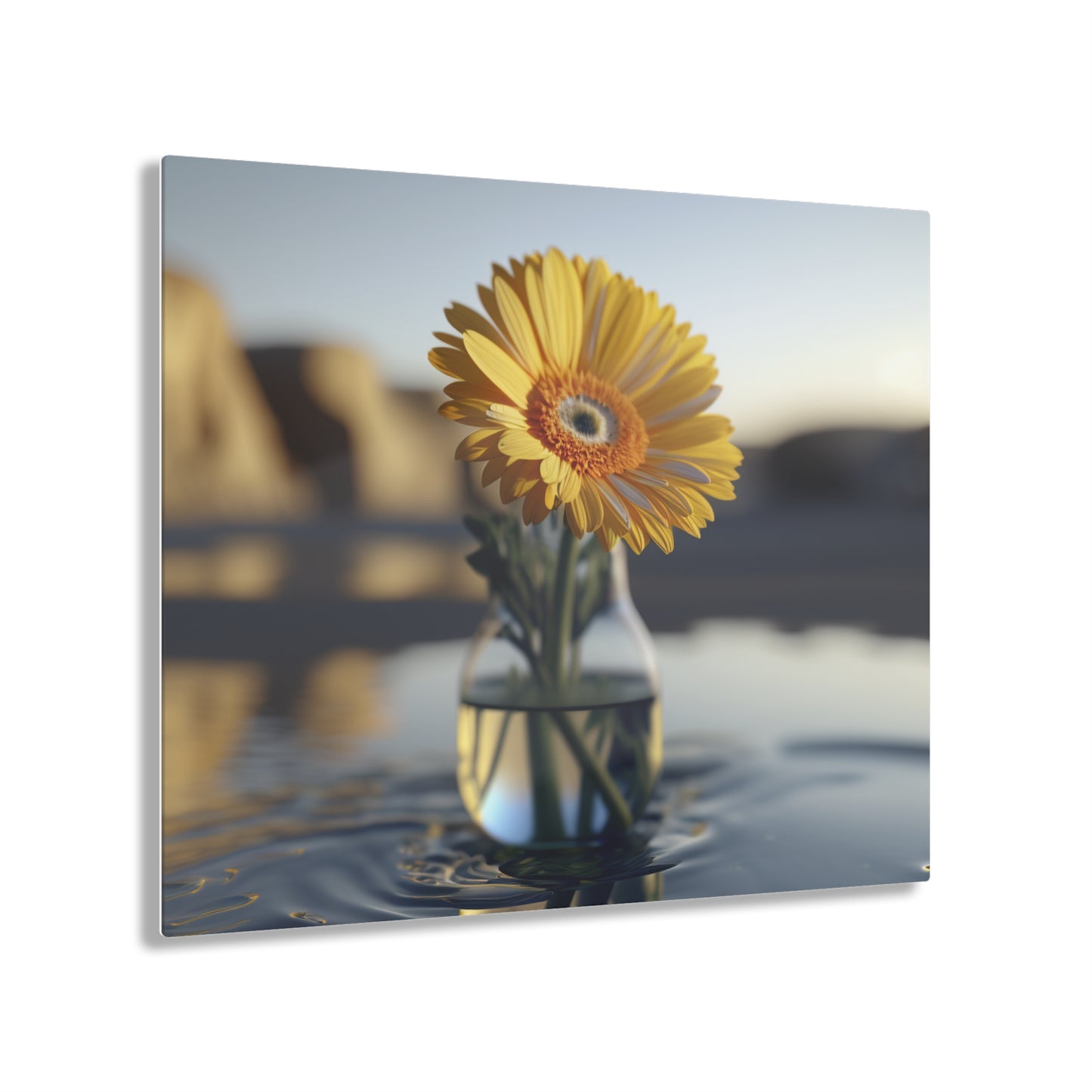 Acrylic Prints yello Gerbera glass 4