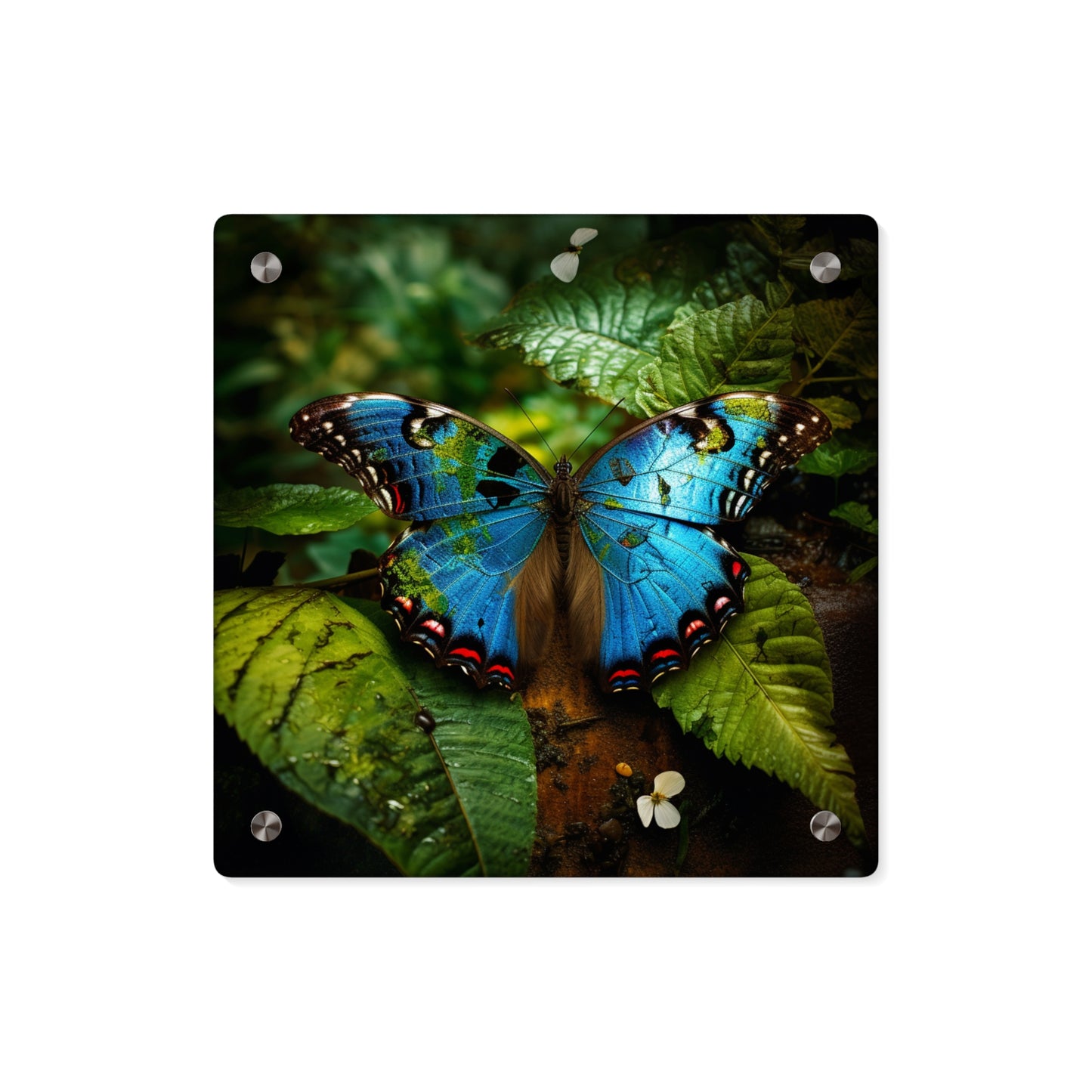 Acrylic Wall Art Panels Jungle Butterfly 2