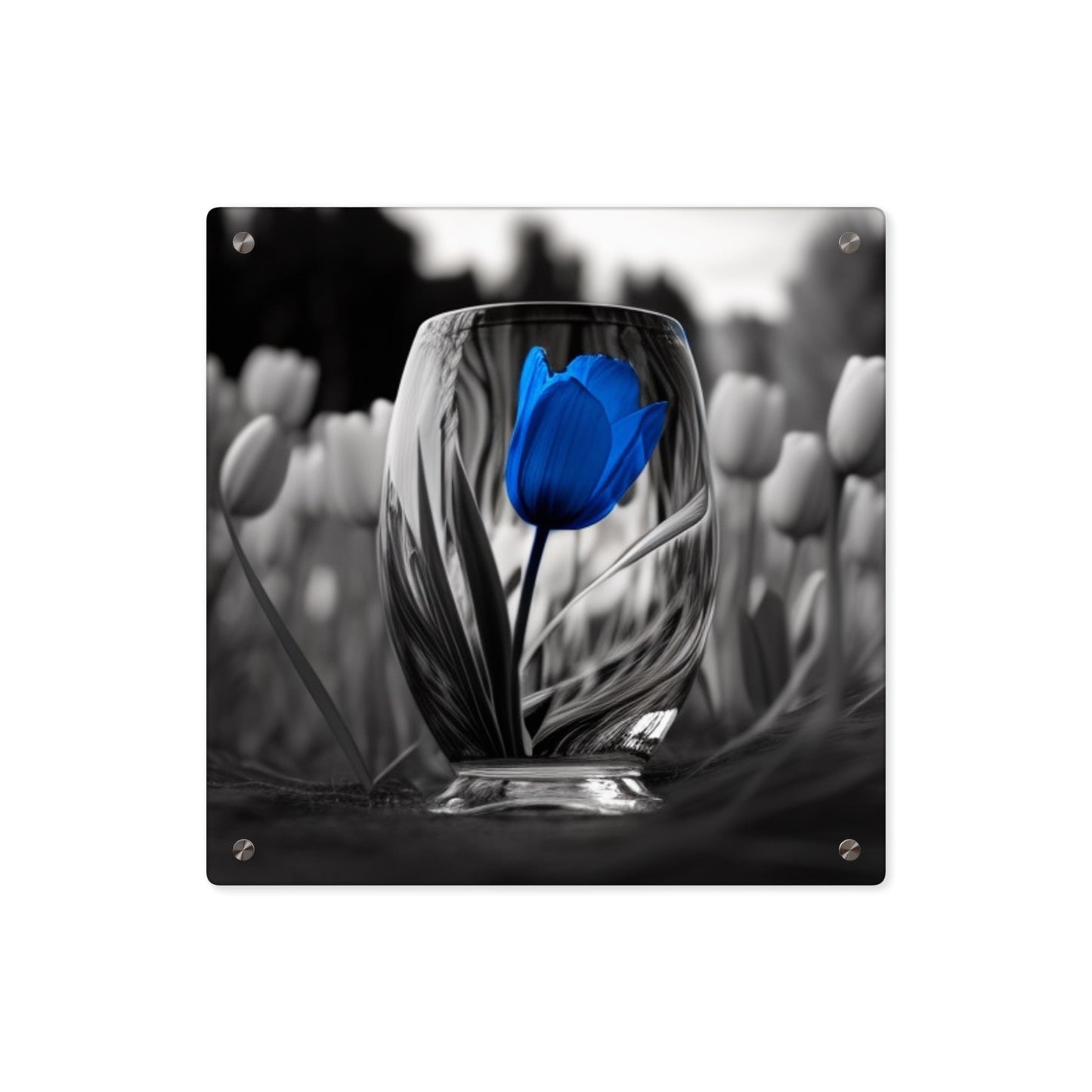 Acrylic Wall Art Panels Tulip 4