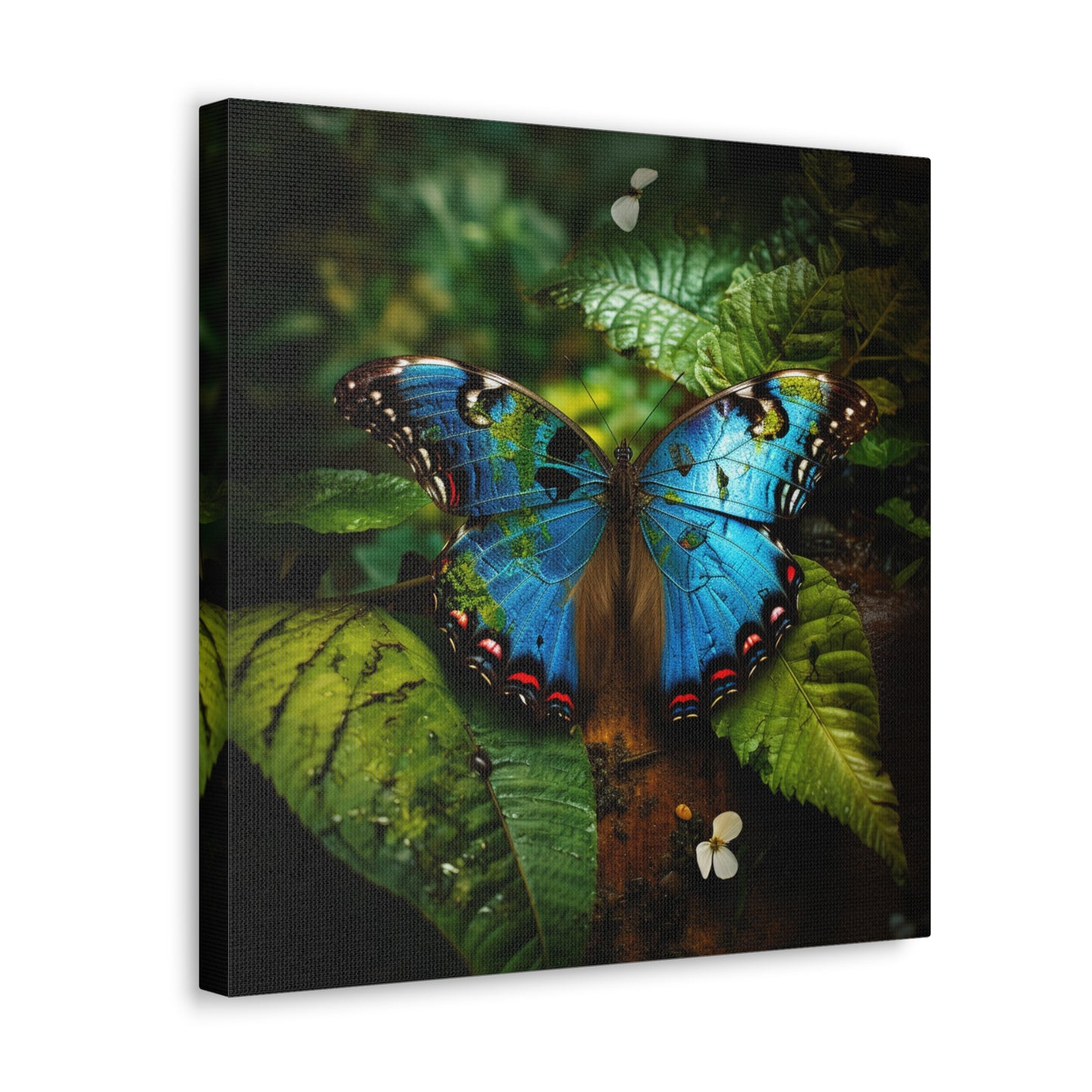 Canvas Gallery Wraps Jungle Butterfly 2