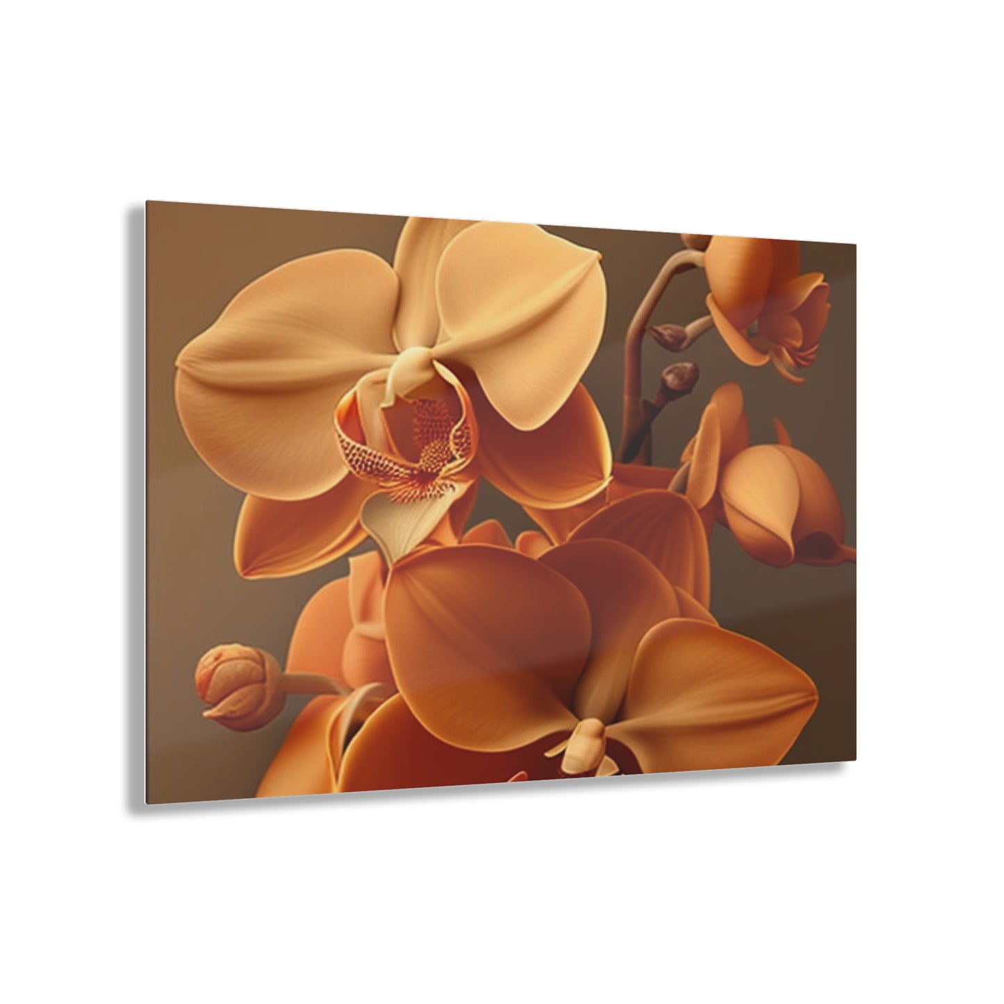 Acrylic Prints orchid pedals 4