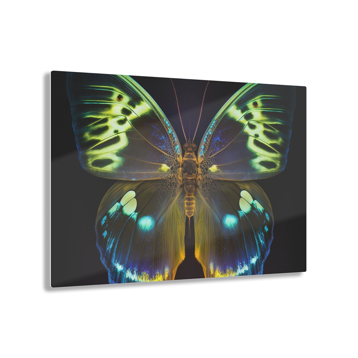 Acrylic Prints Neon Hue Butterfly 1