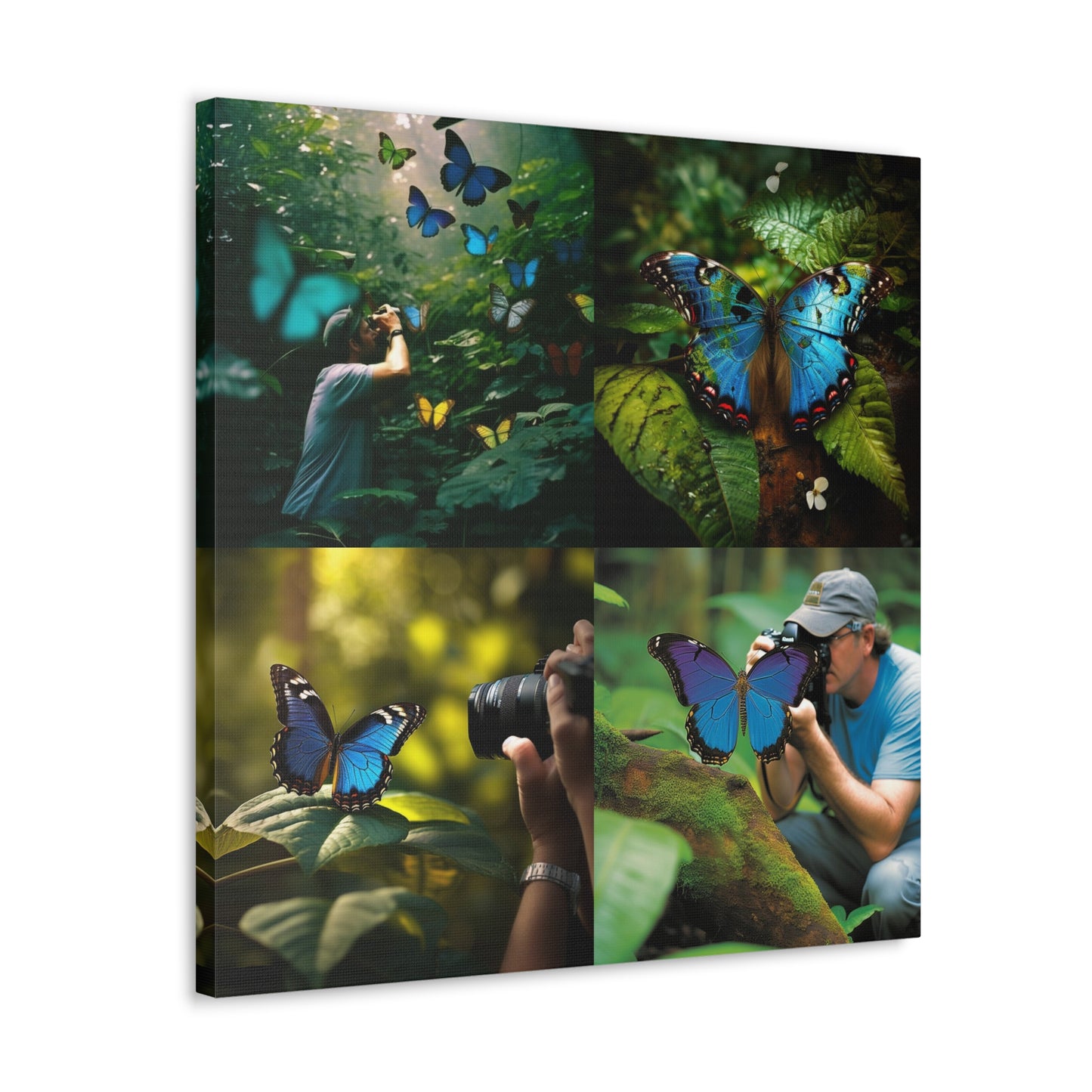 Canvas Gallery Wraps Jungle Butterfly 5