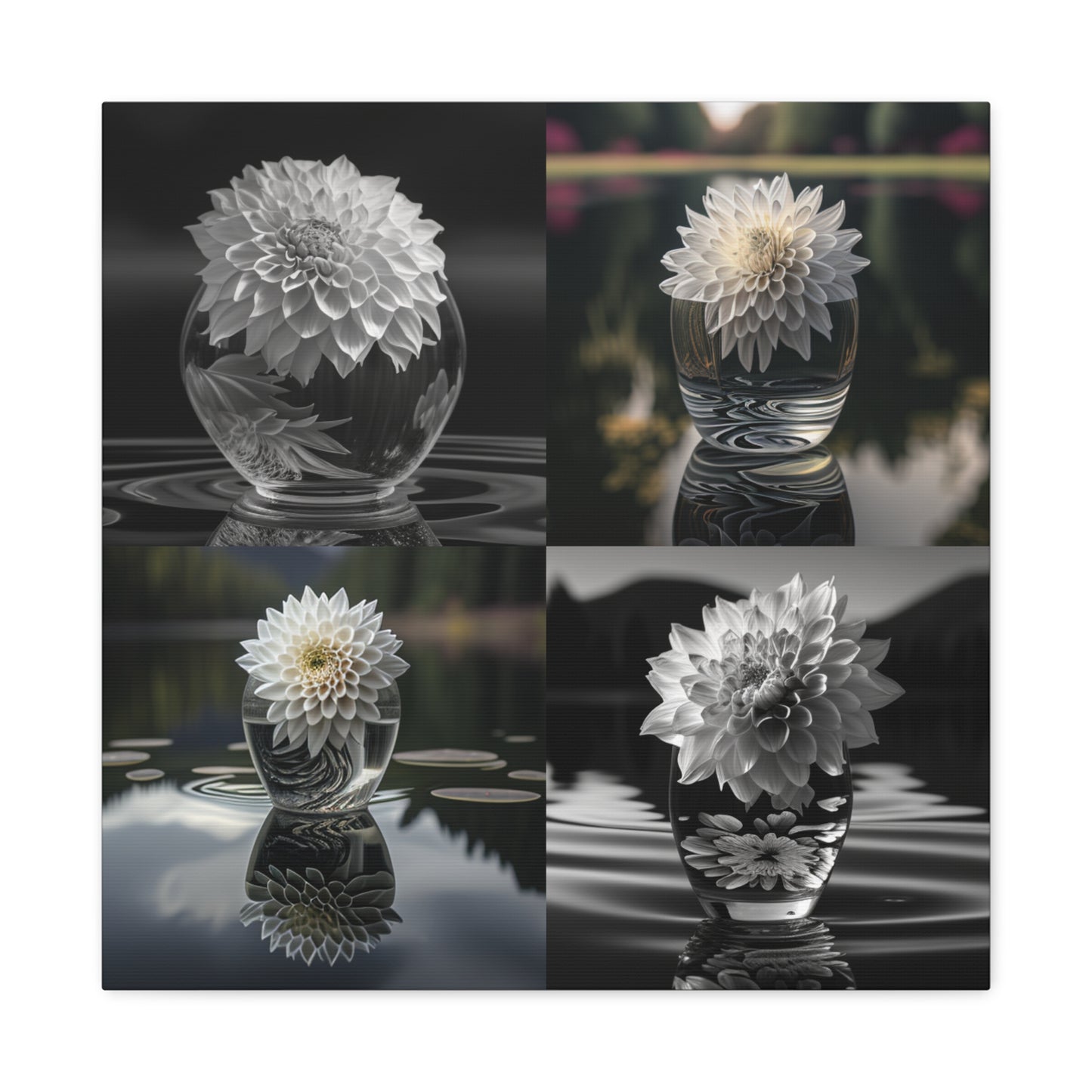 Canvas Gallery Wraps White Dahlia 5