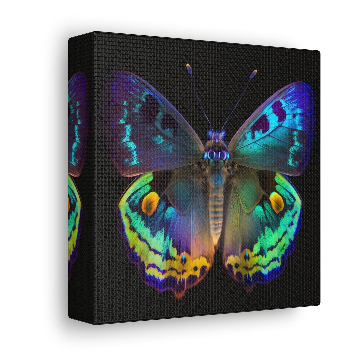 Canvas Gallery Wraps Neon Hue Butterfly 4