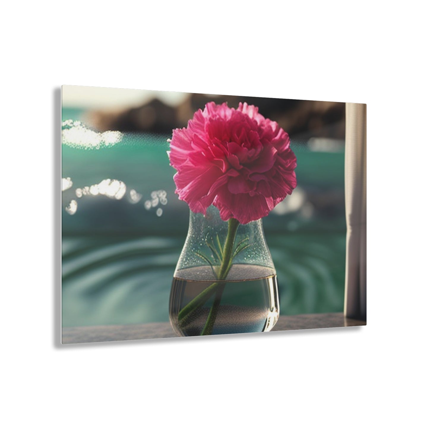 Acrylic Prints Carnation 4