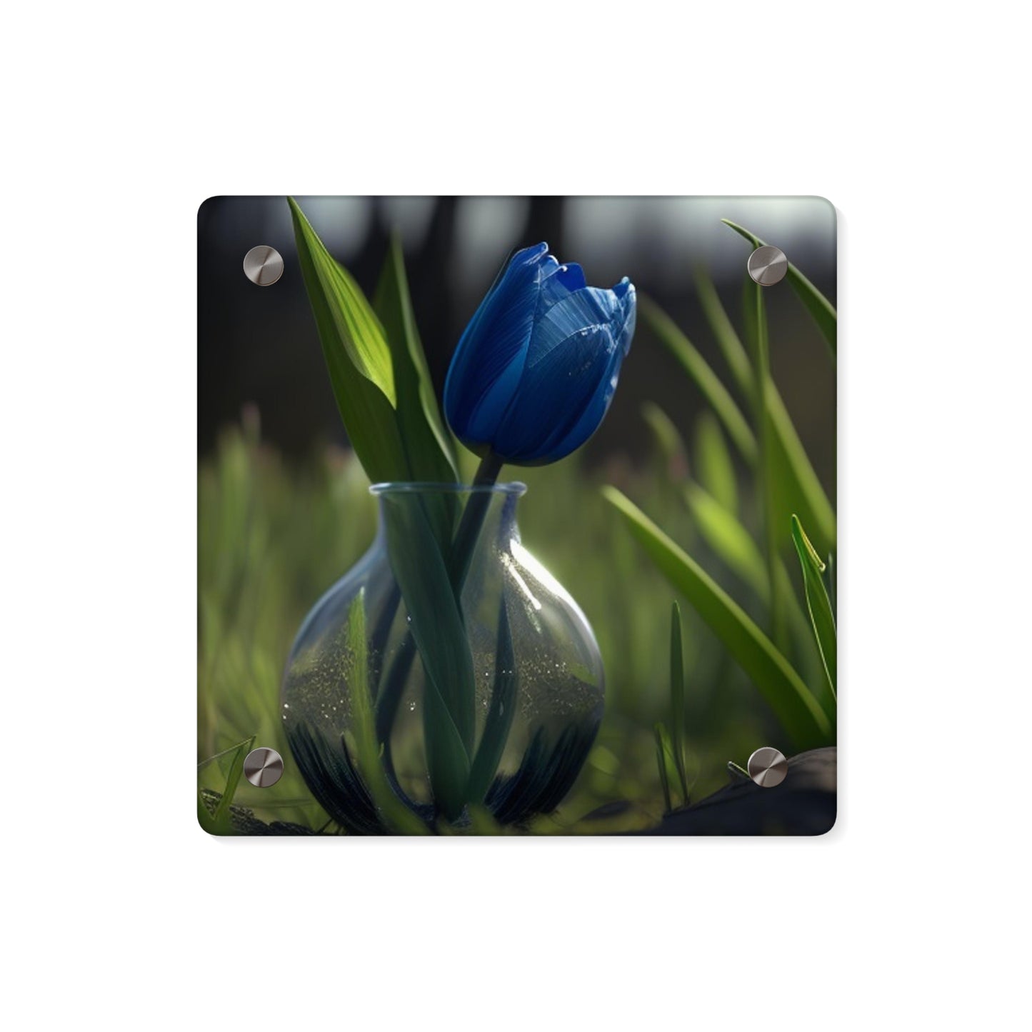 Acrylic Wall Art Panels Tulip 1