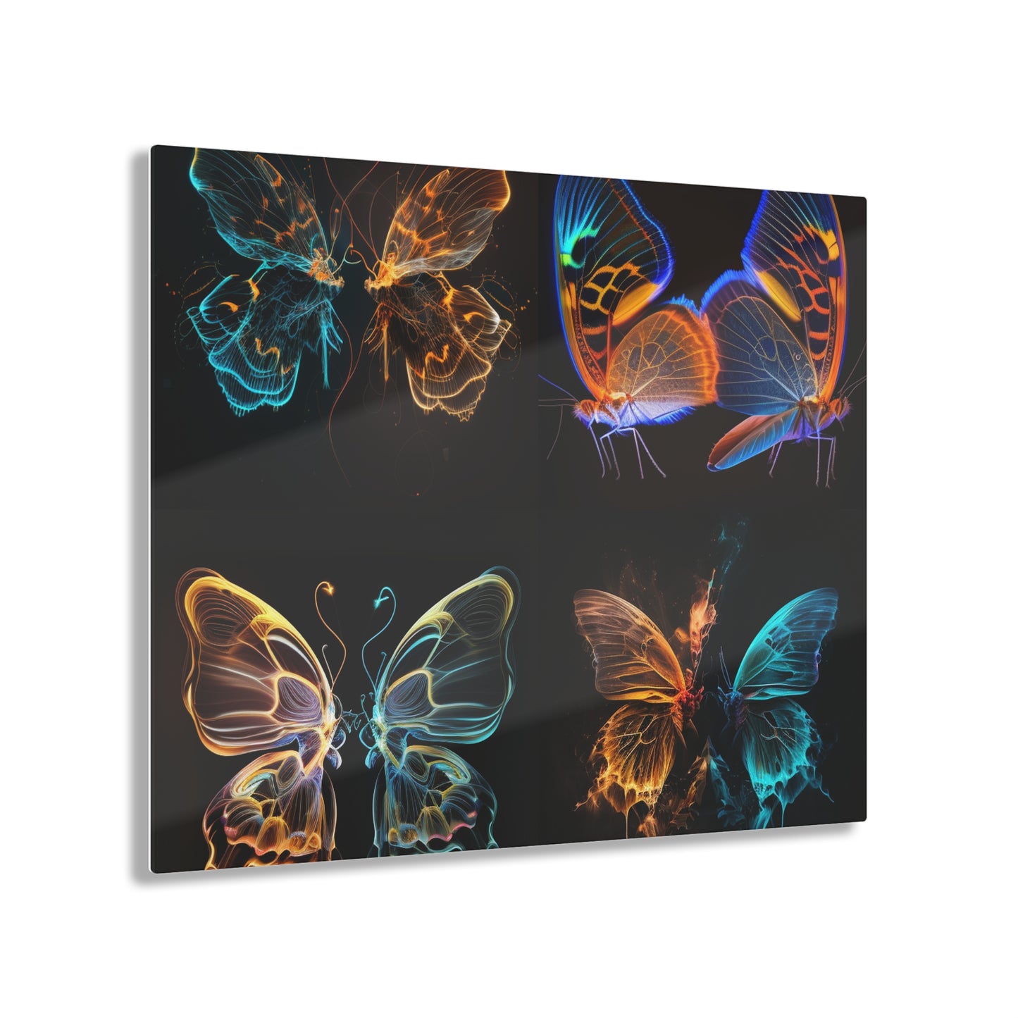 Acrylic Prints Neon Glo Butterfly 5