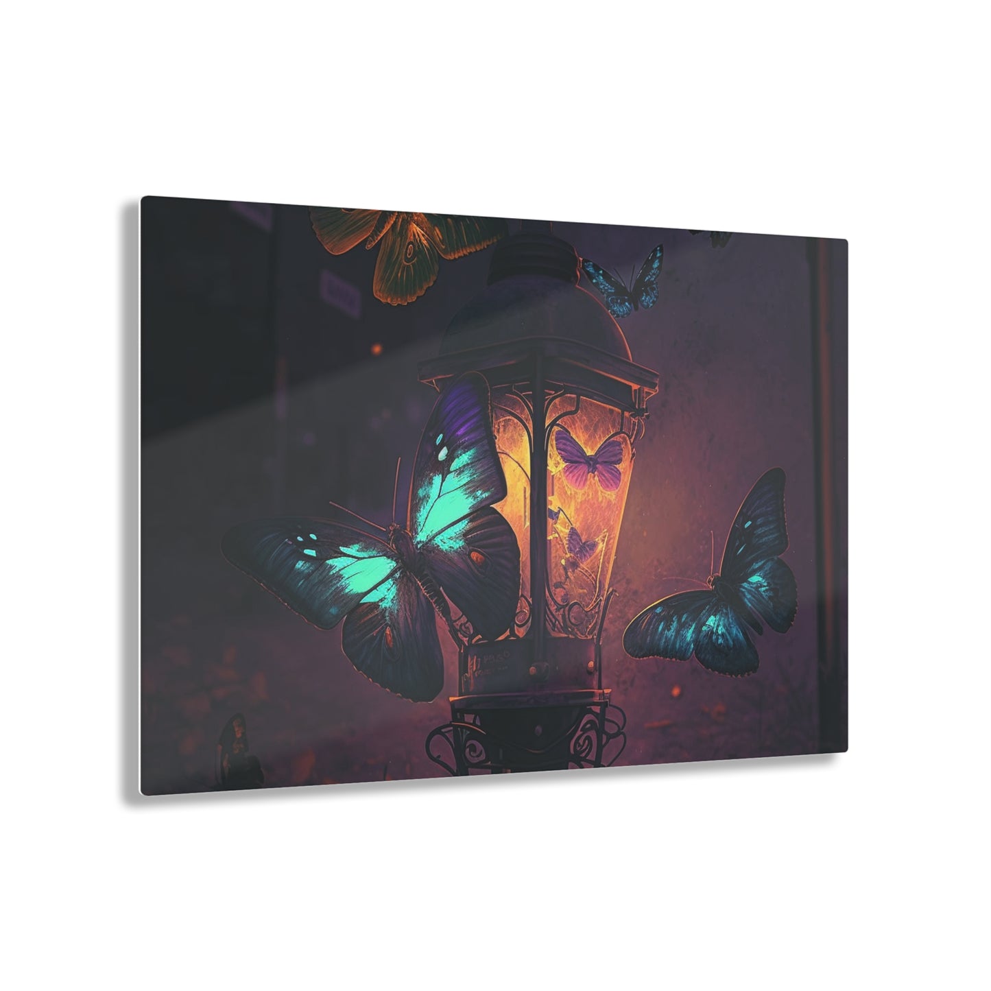 Acrylic Prints Street Light Butterfly 4