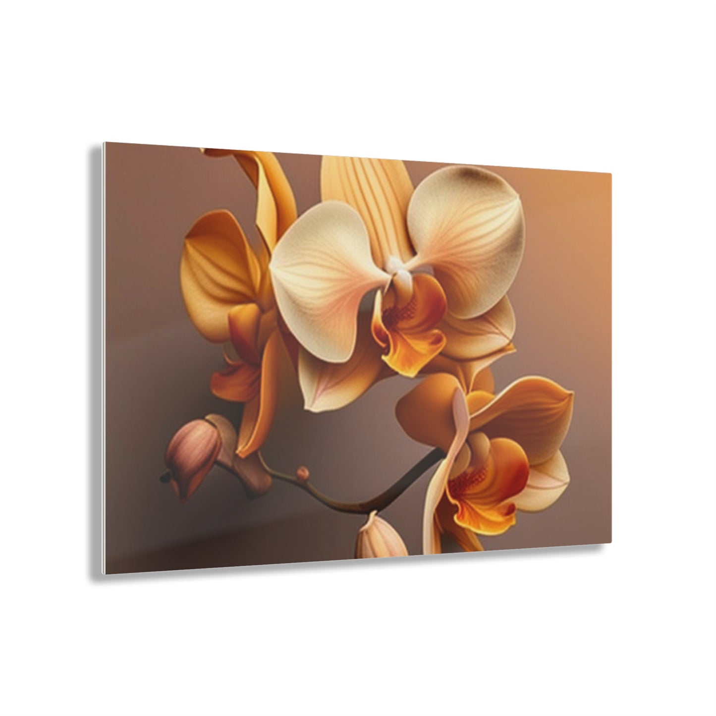 Acrylic Prints orchid pedals 2