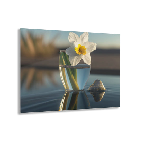 Acrylic Prints Daffodil 4