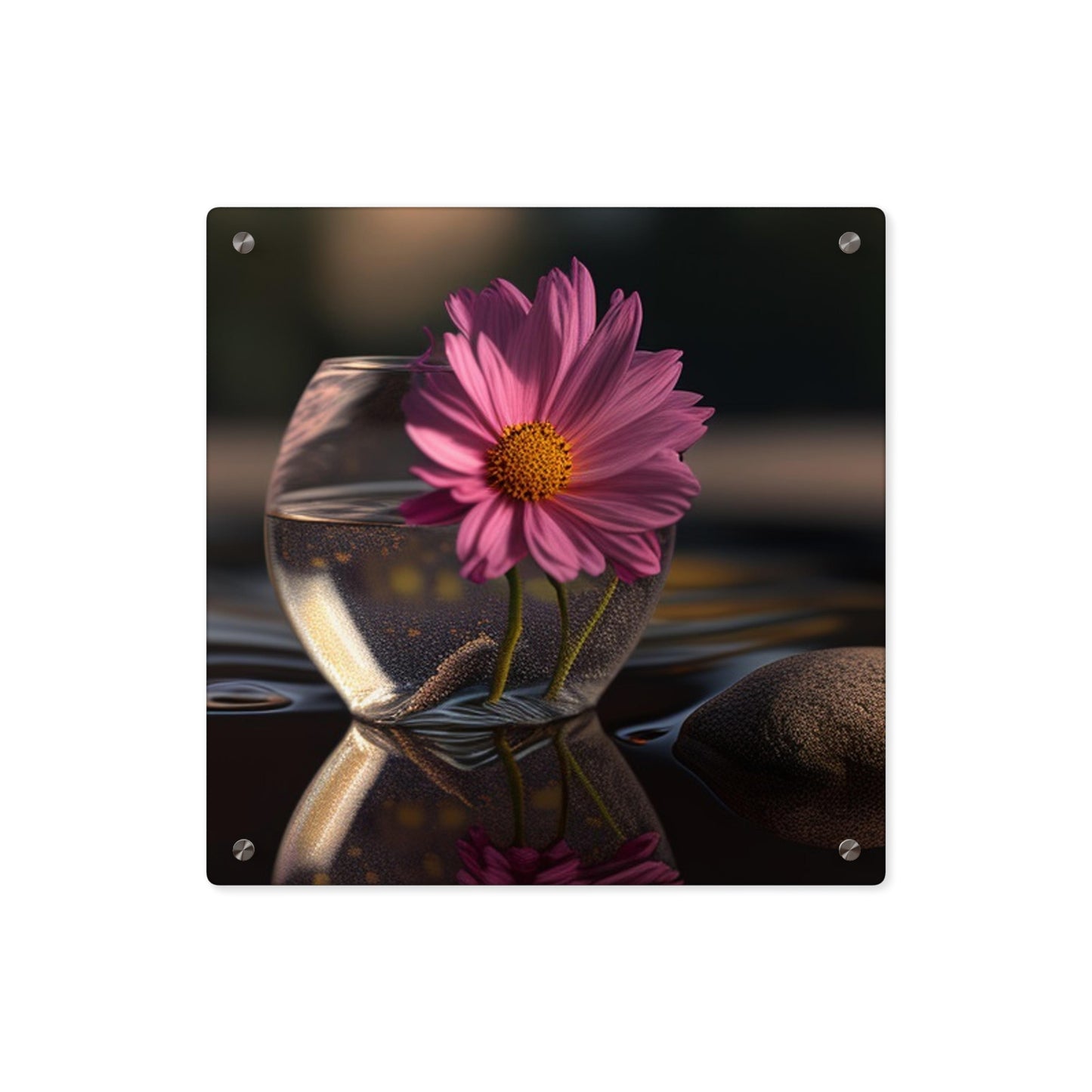 Acrylic Wall Art Panels Pink Daisy 4