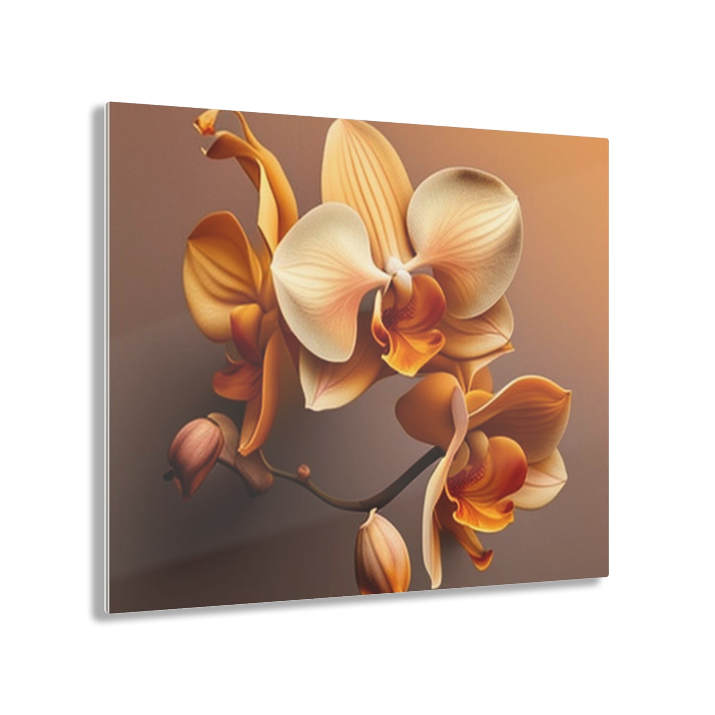 Acrylic Prints orchid pedals 2