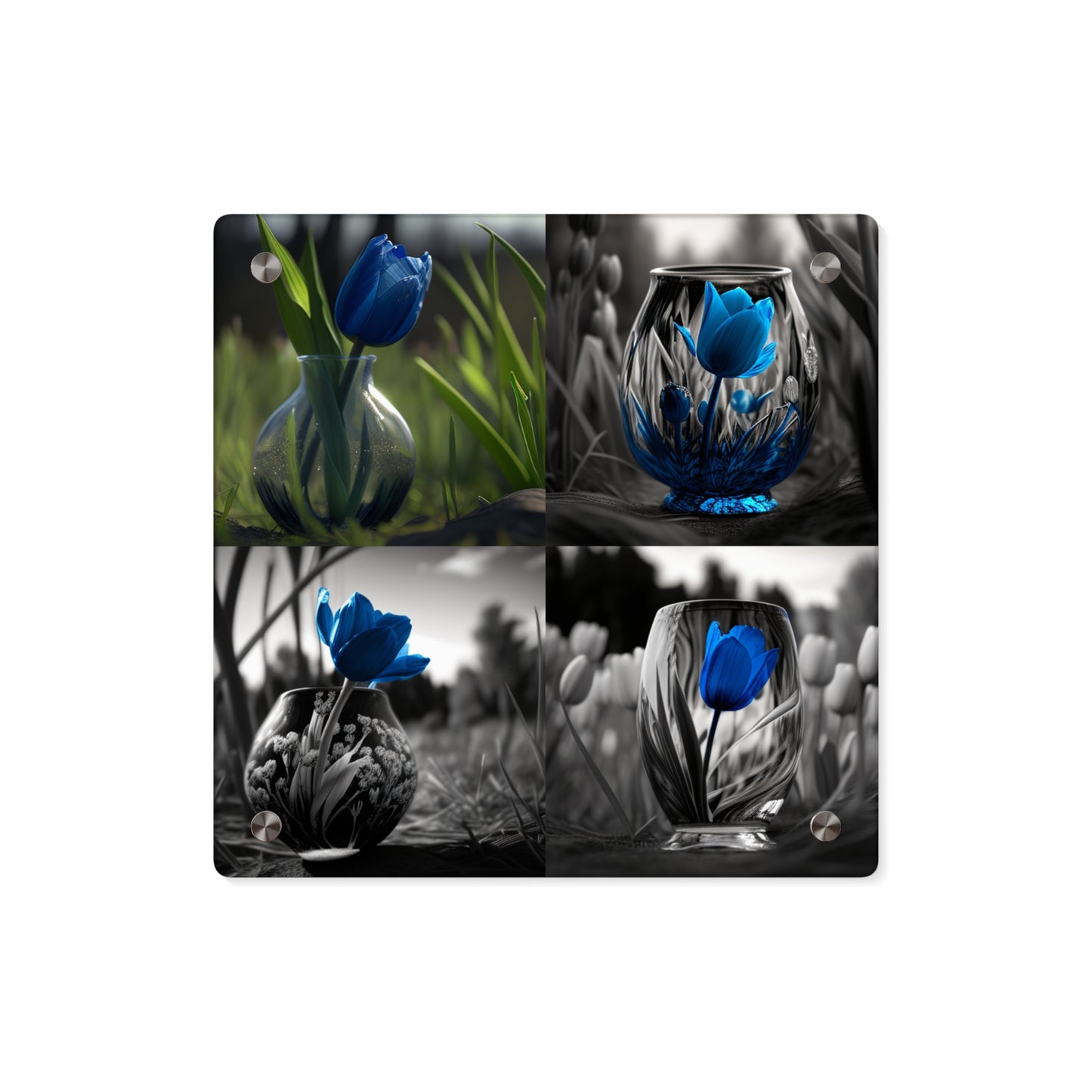 Acrylic Wall Art Panels Tulip 5