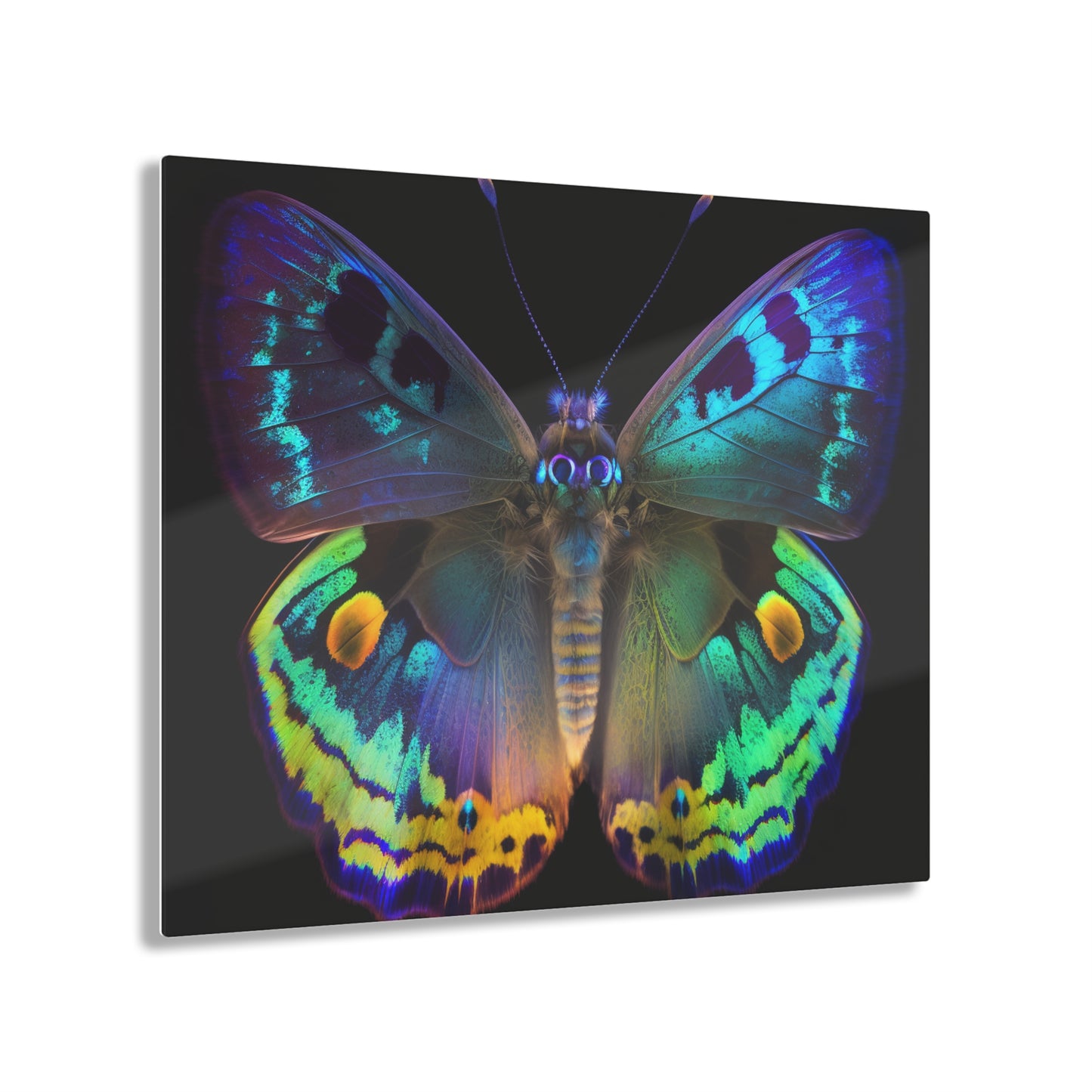 Acrylic Prints Neon Hue Butterfly 4