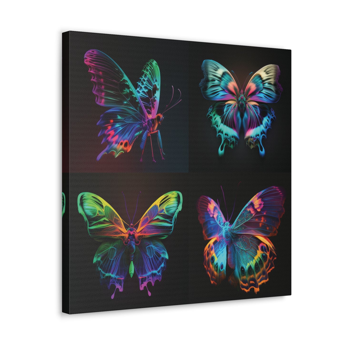 Canvas Gallery Wraps Raw Hyper Color Butterfly 5