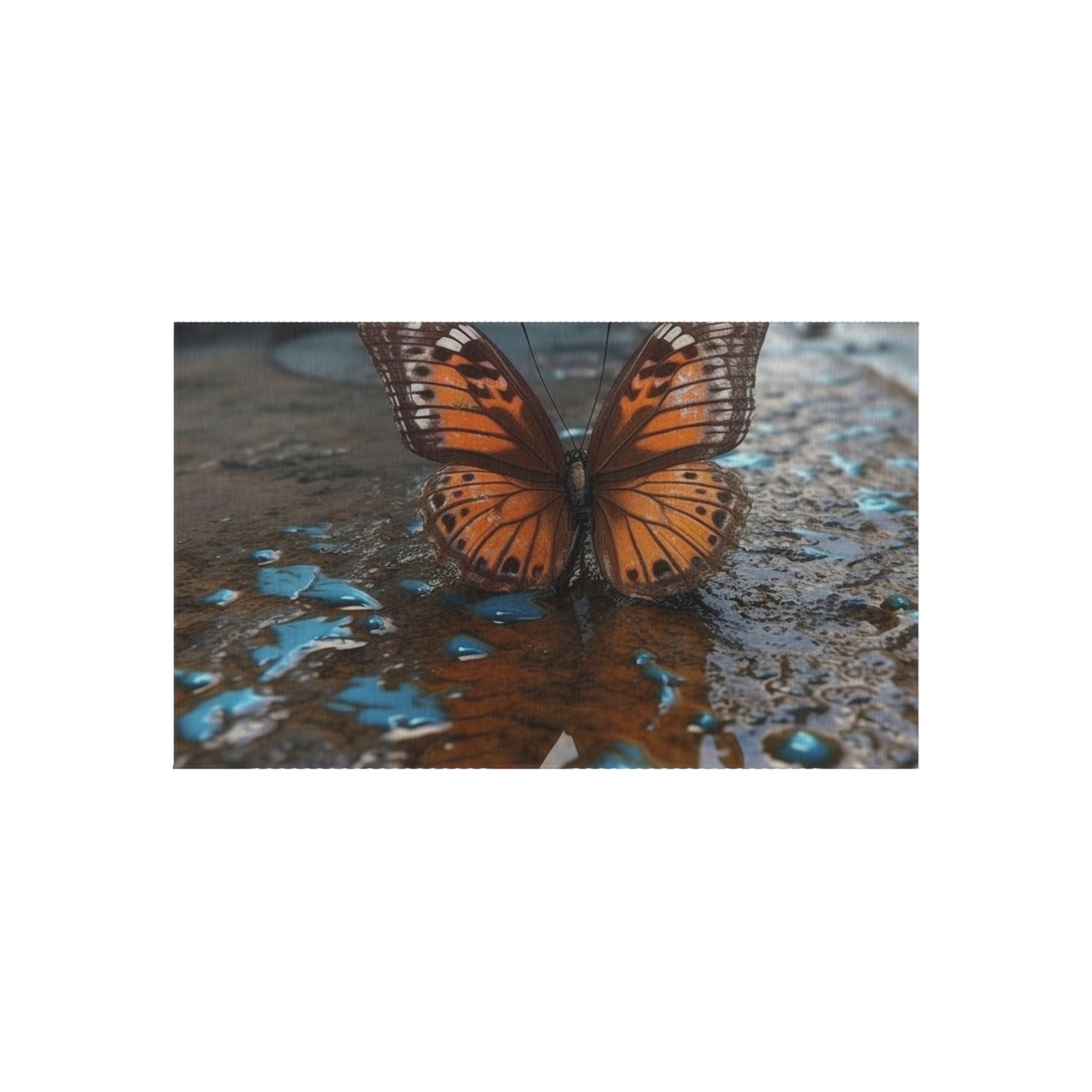 Outdoor Rug  Water Butterfly Street 2