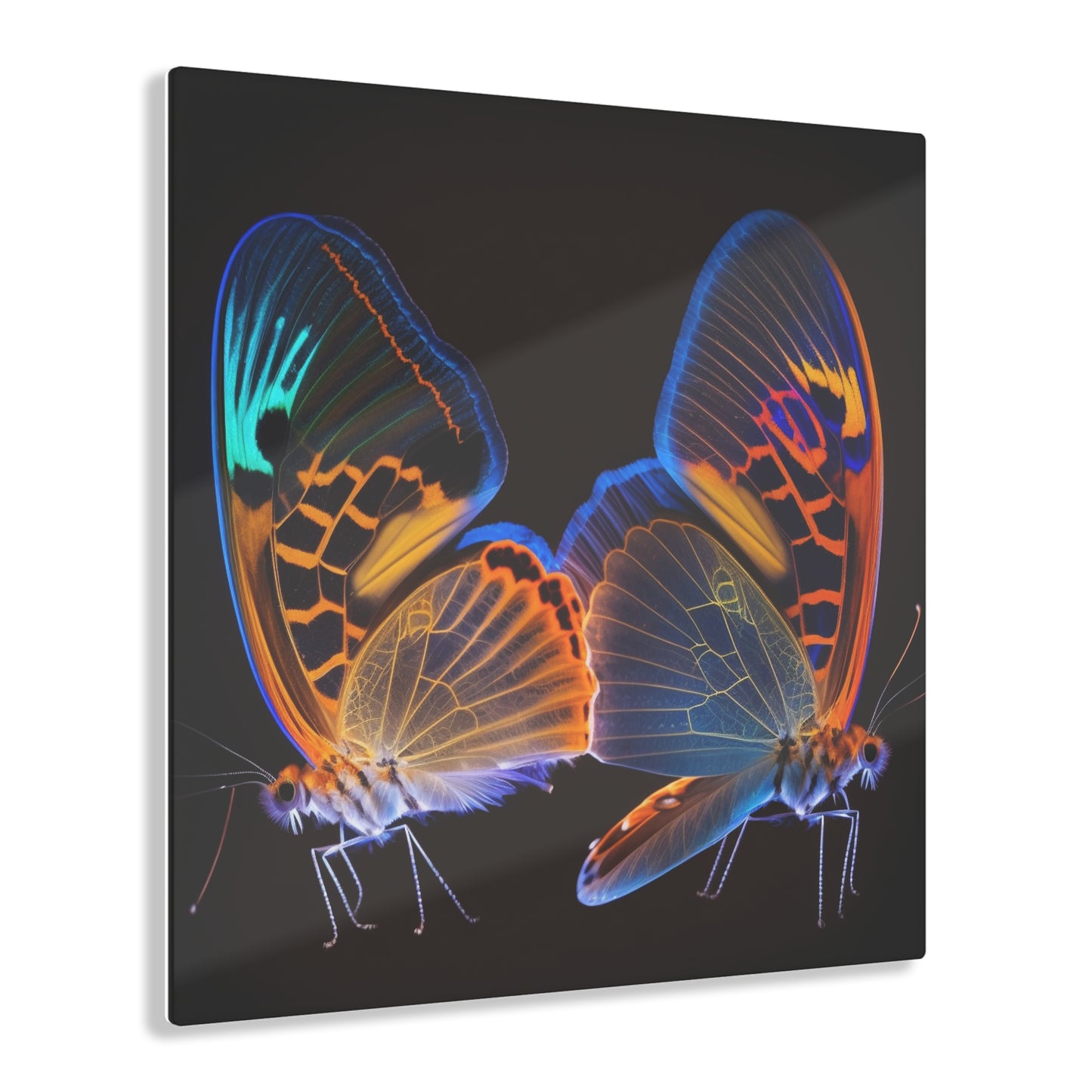 Acrylic Prints Neon Glo Butterfly 2