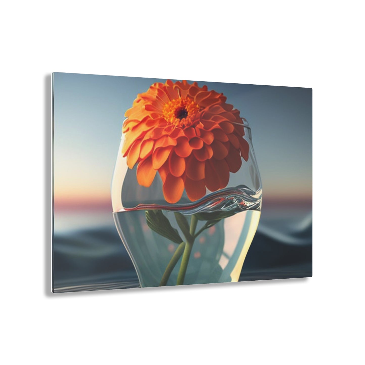 Acrylic Prints Orange Zinnia 4