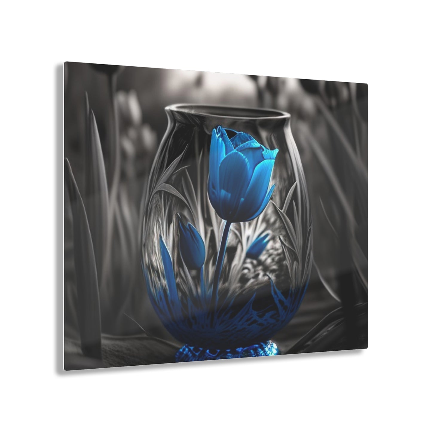 Acrylic Prints Tulip Blue 3