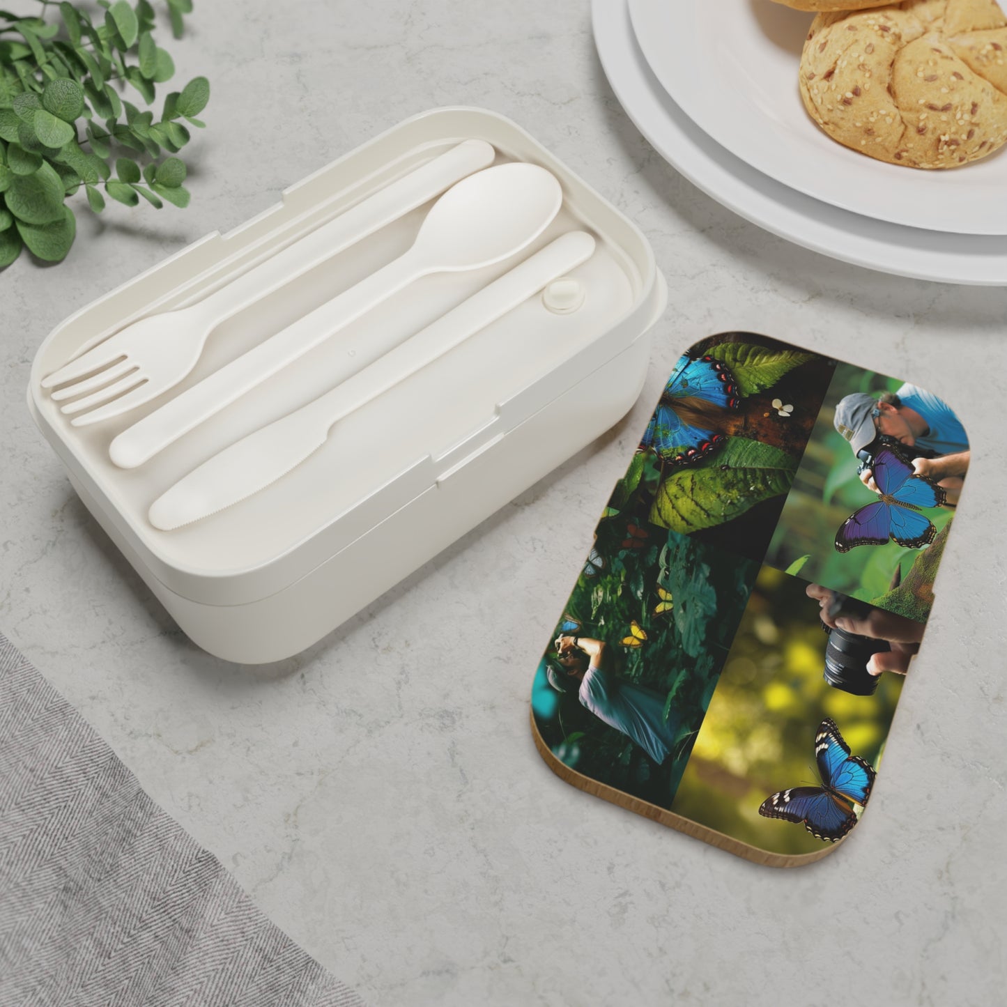 Bento Lunch Box Jungle Butterfly 5