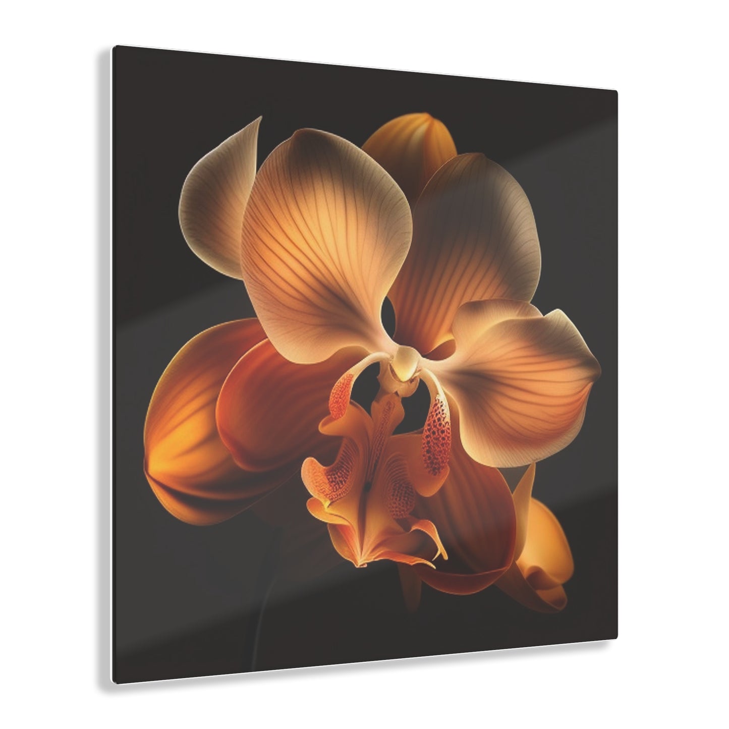 Acrylic Prints Orange Orchid 2