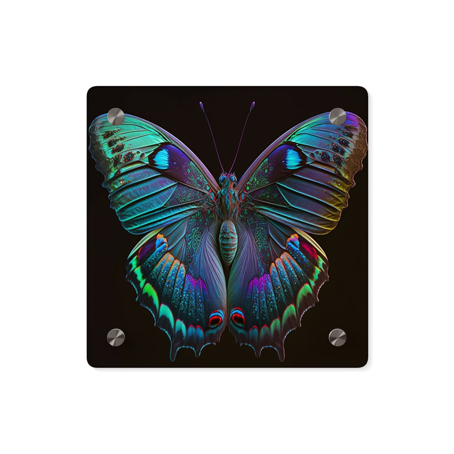 Acrylic Wall Art Panels Hue Neon Butterfly 4