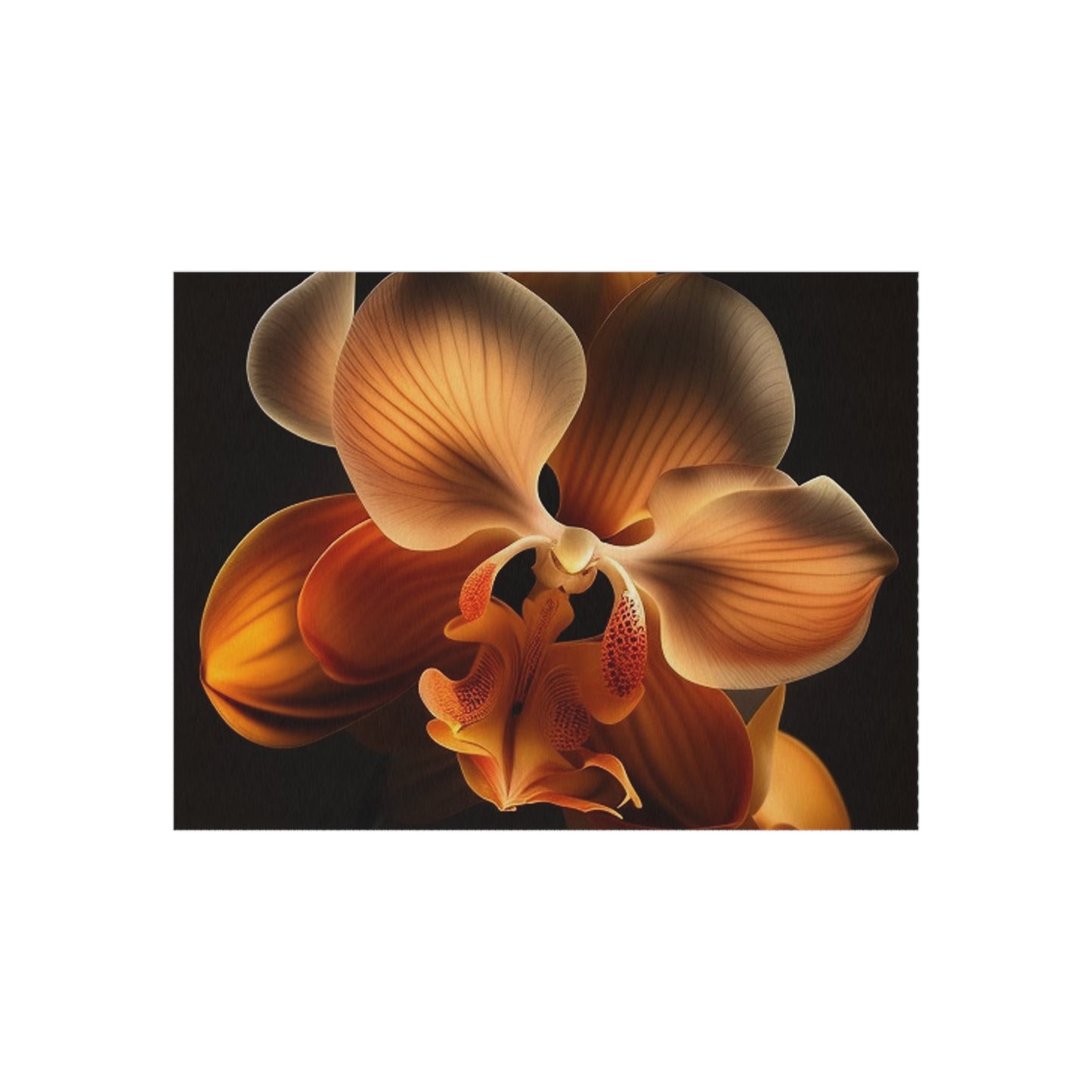 Outdoor Rug  Orange Orchid 2