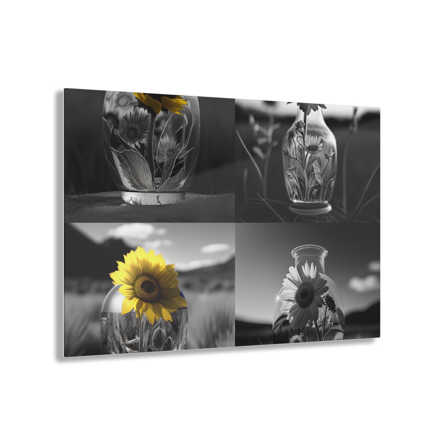 Acrylic Prints Yellw Sunflower in a vase 5