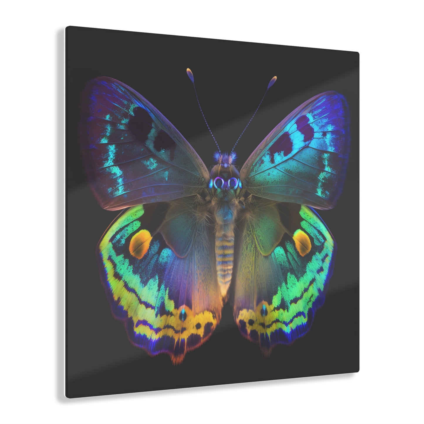 Acrylic Prints Neon Hue Butterfly 4