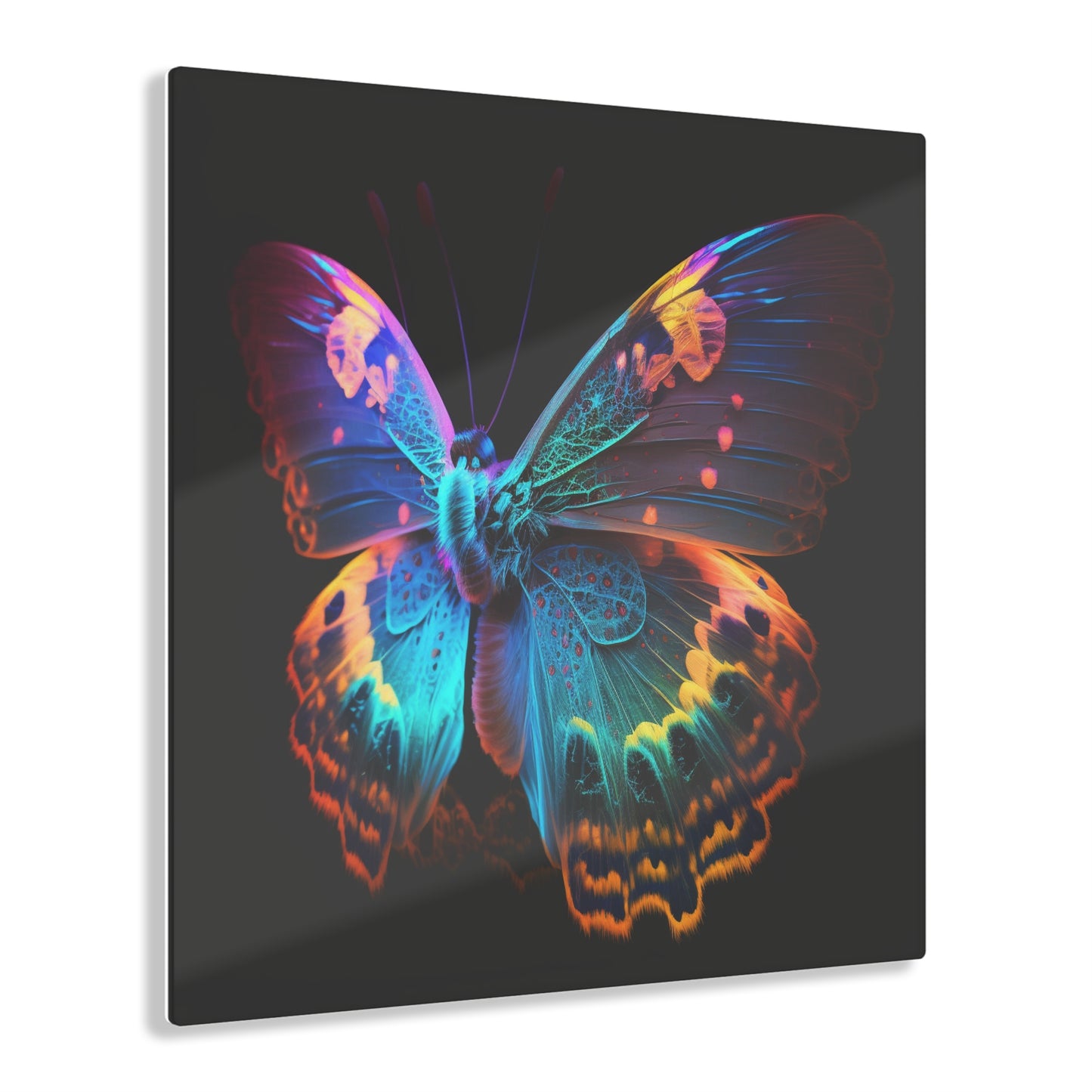 Acrylic Prints Raw Hyper Color Butterfly 4