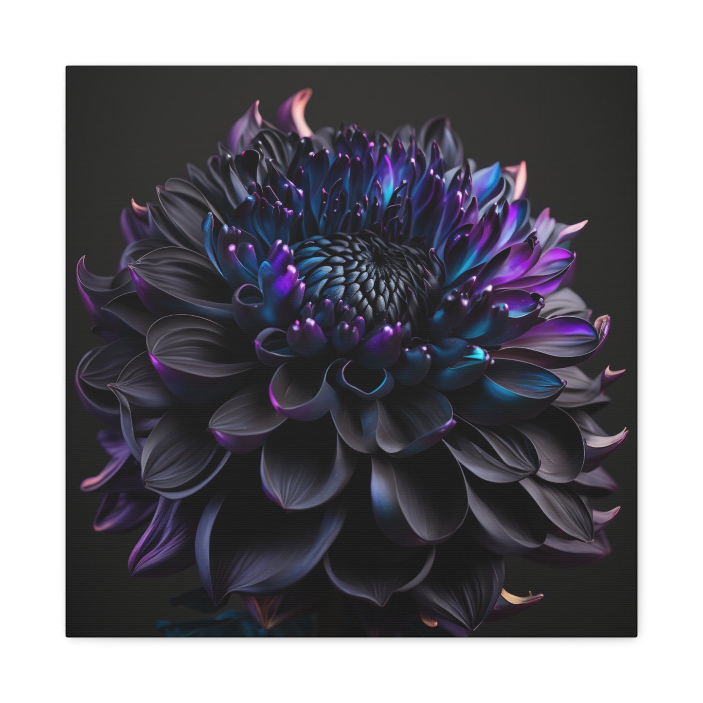 Canvas Gallery Wraps Dahlia Purple 2