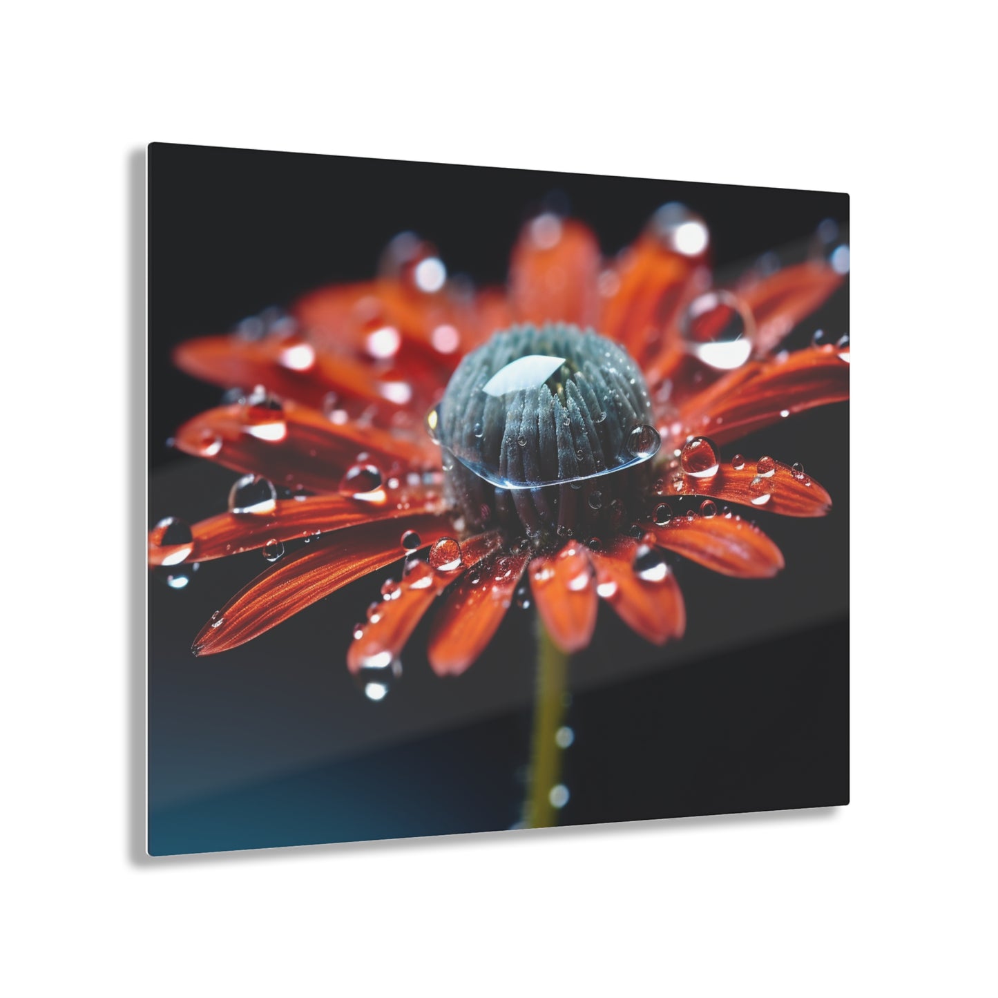 Acrylic Prints Water drop Macro Flower 1