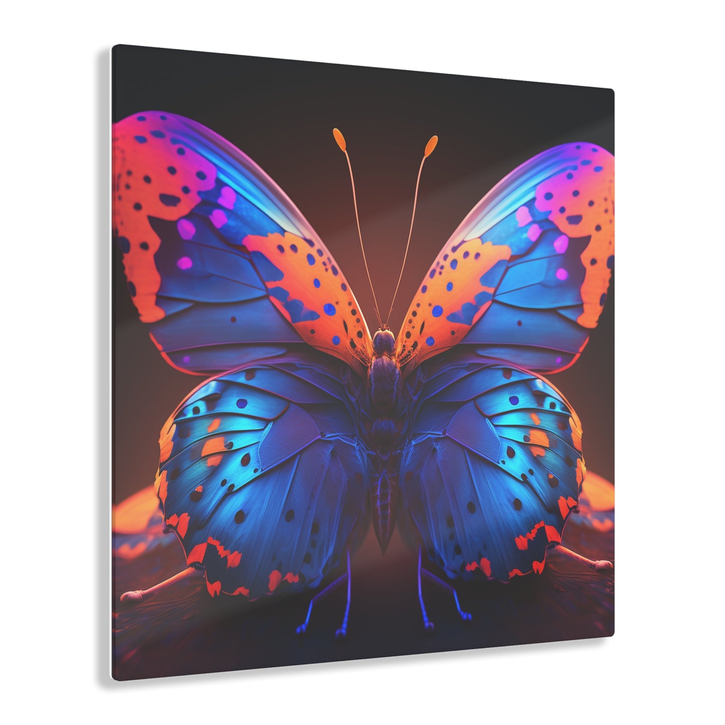 Acrylic Prints Neon Butterfly Macro 3