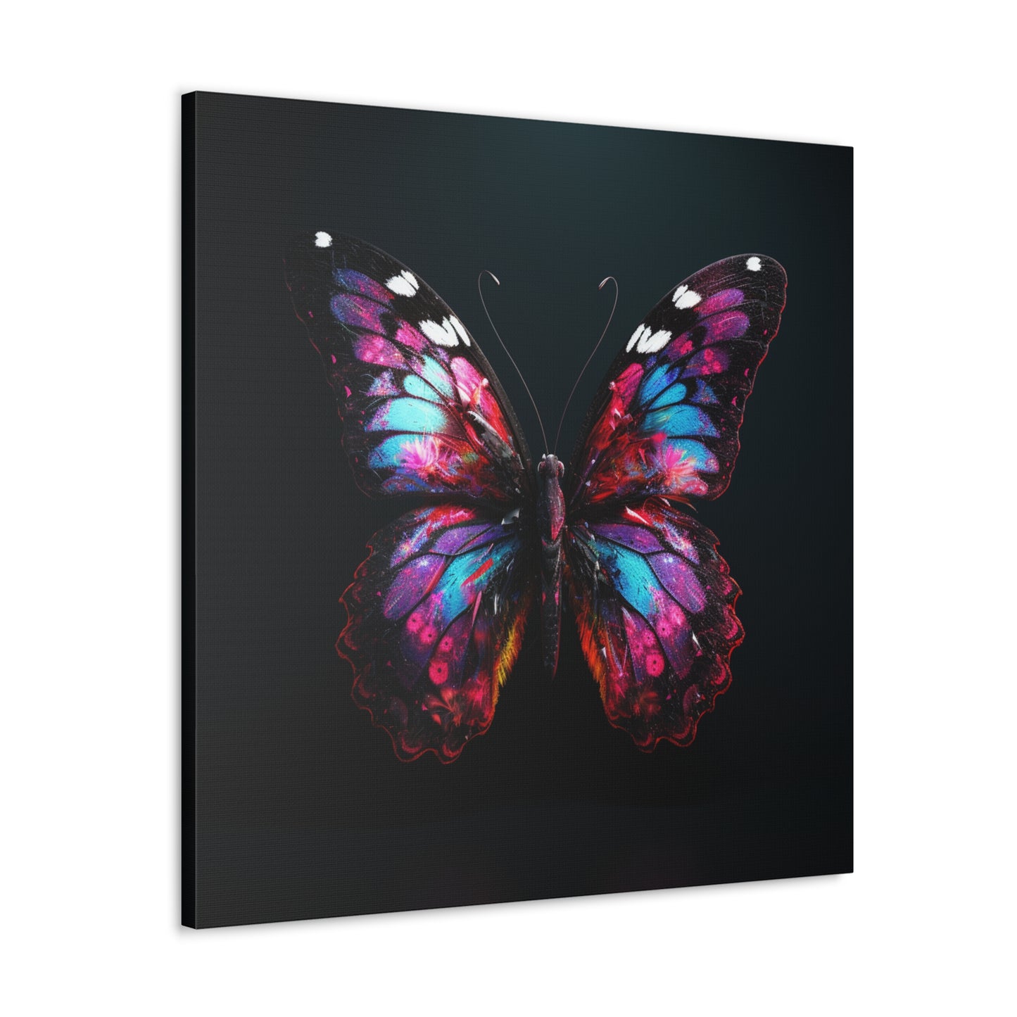 Canvas Gallery Wraps Hyper Butterfly Real