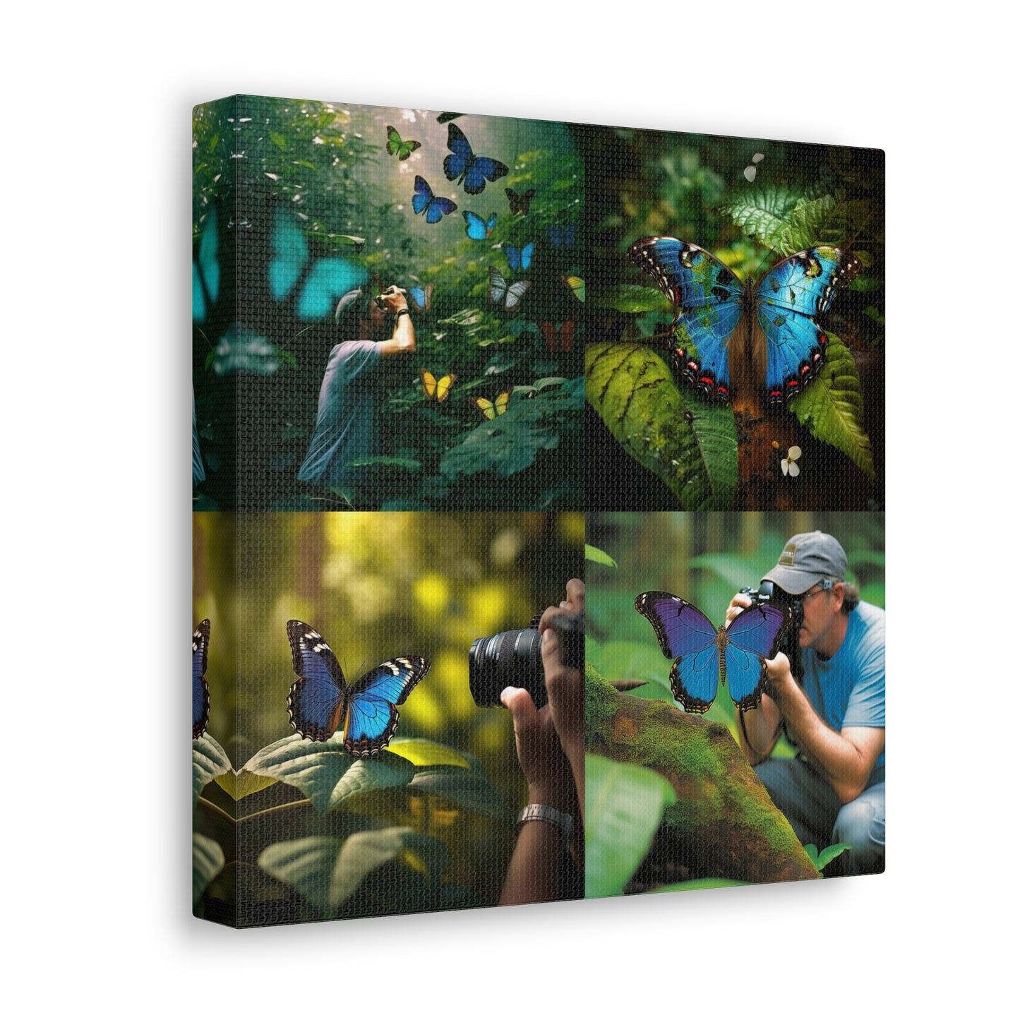 Canvas Gallery Wraps Jungle Butterfly 5