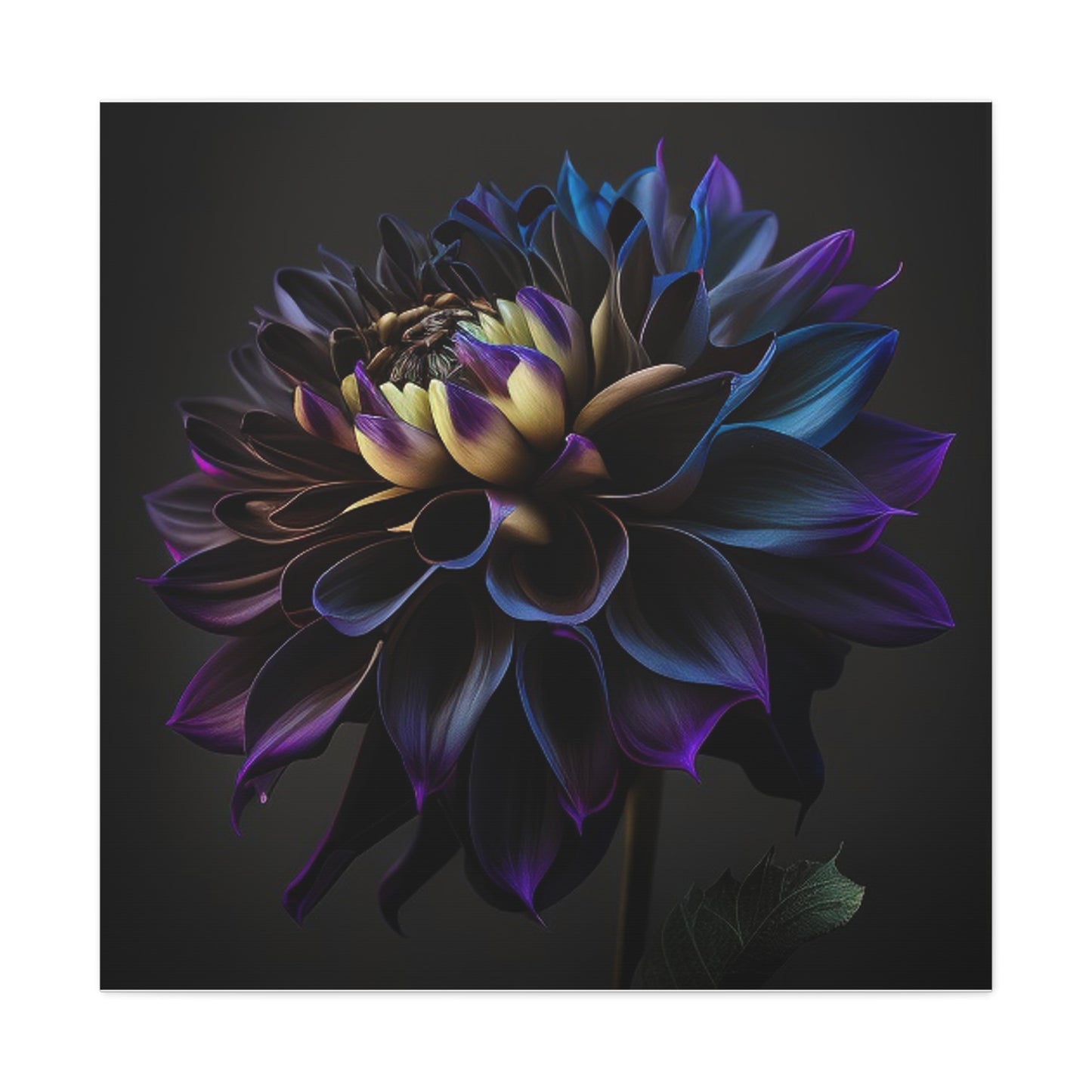 Canvas Gallery Wraps Dahlia Purple 1