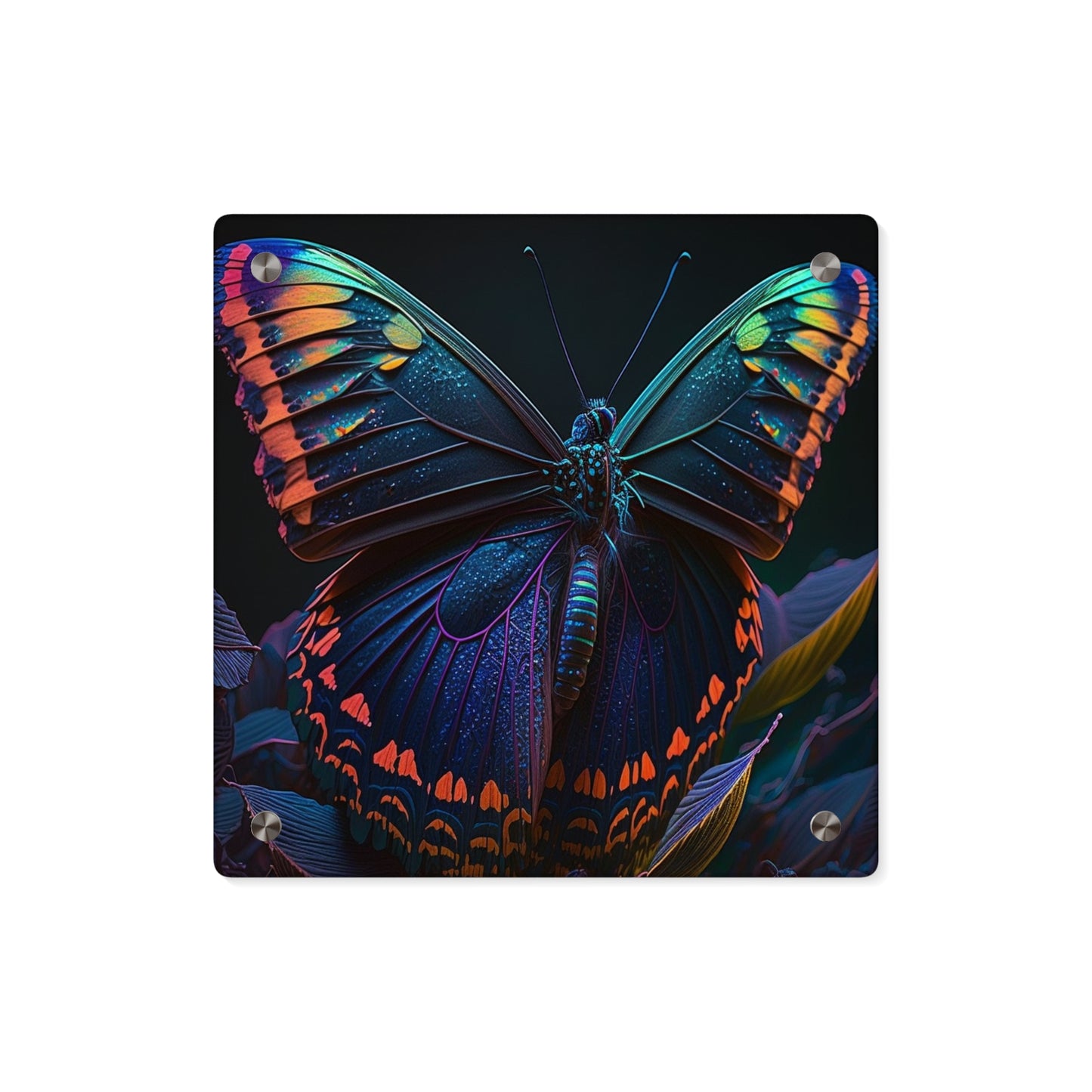 Acrylic Wall Art Panels Hue Neon Butterfly 3