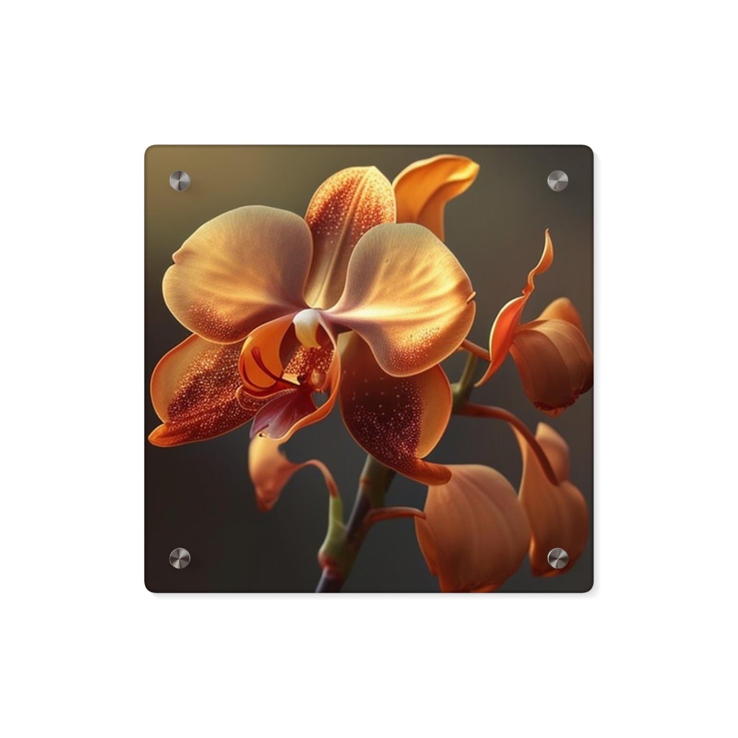 Acrylic Wall Art Panels Orange Orchid 1