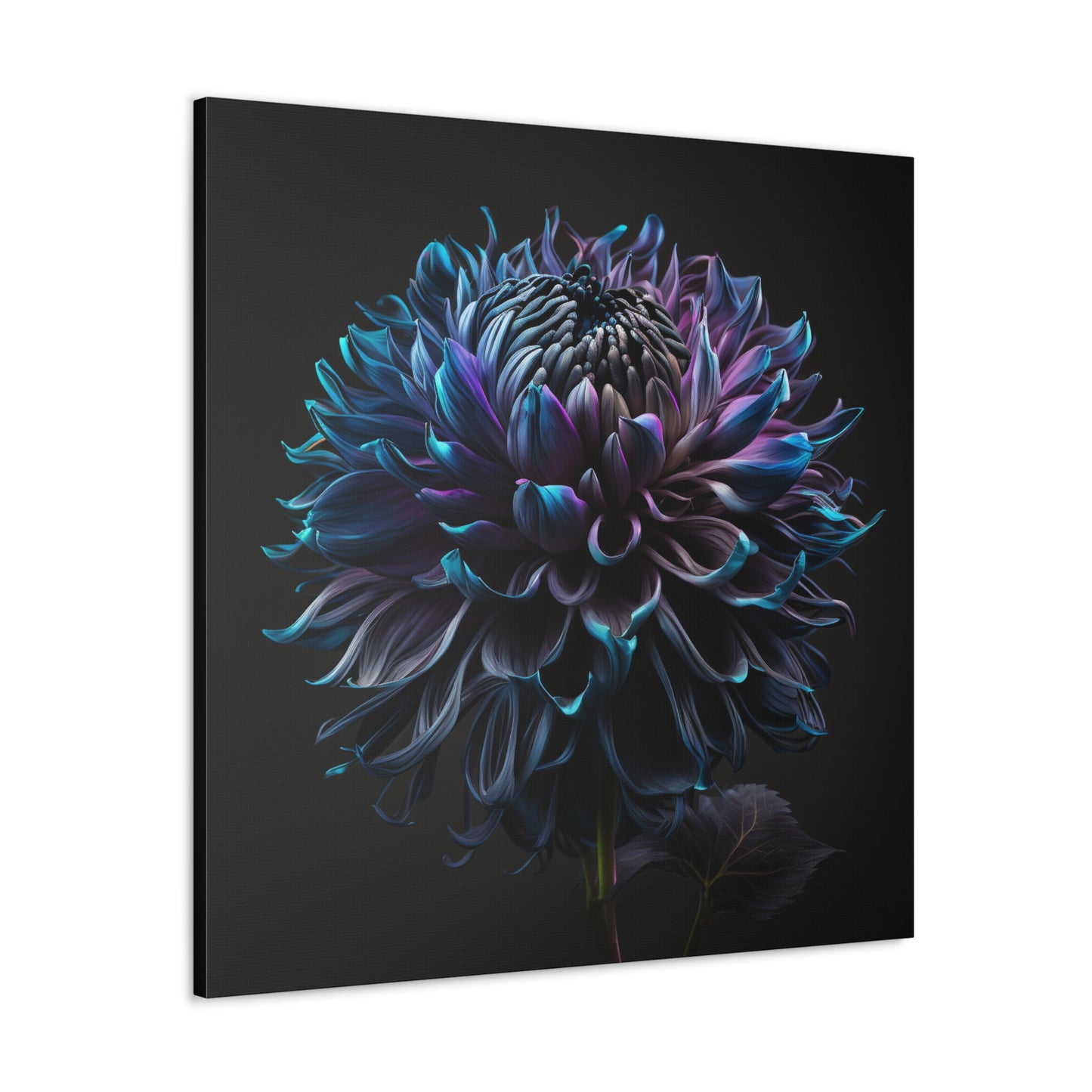 Canvas Gallery Wraps Dahlia Purple 3