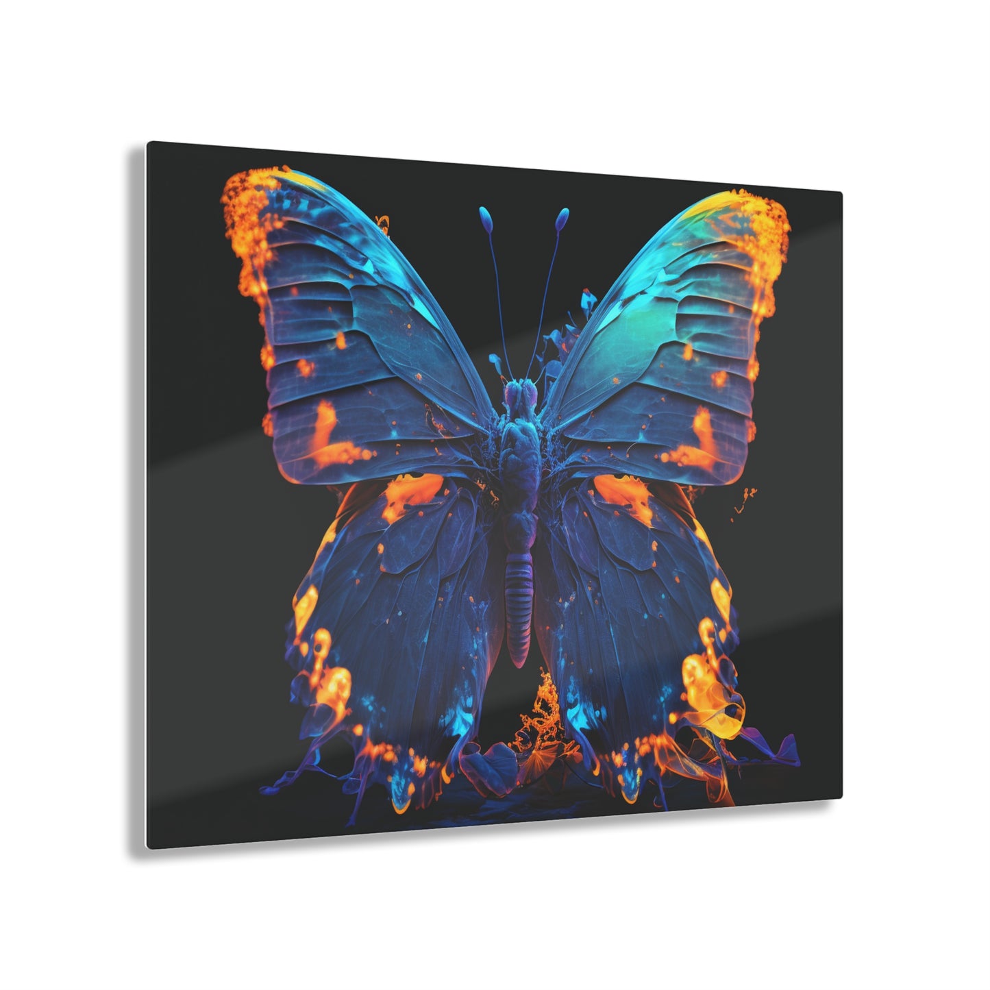 Acrylic Prints Thermal Butterfly 3