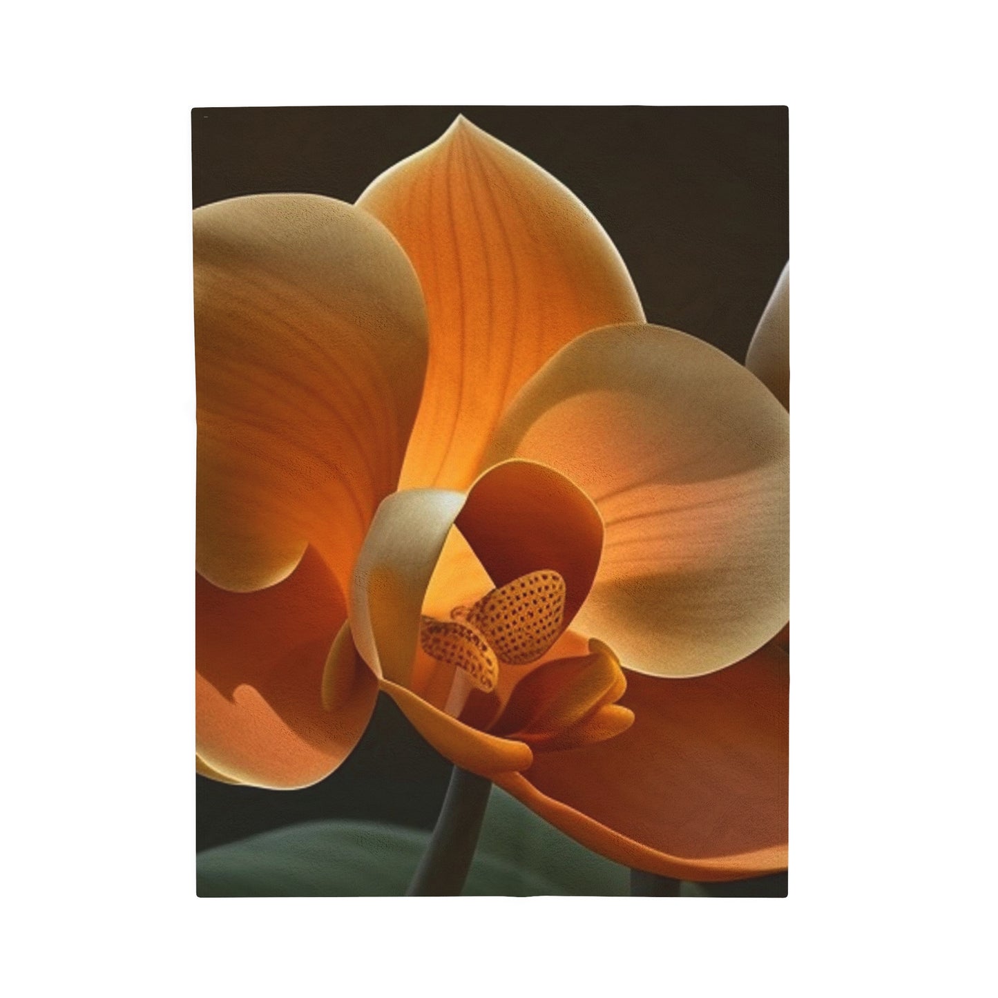 Velveteen Plush Blanket Orange Orchid 4