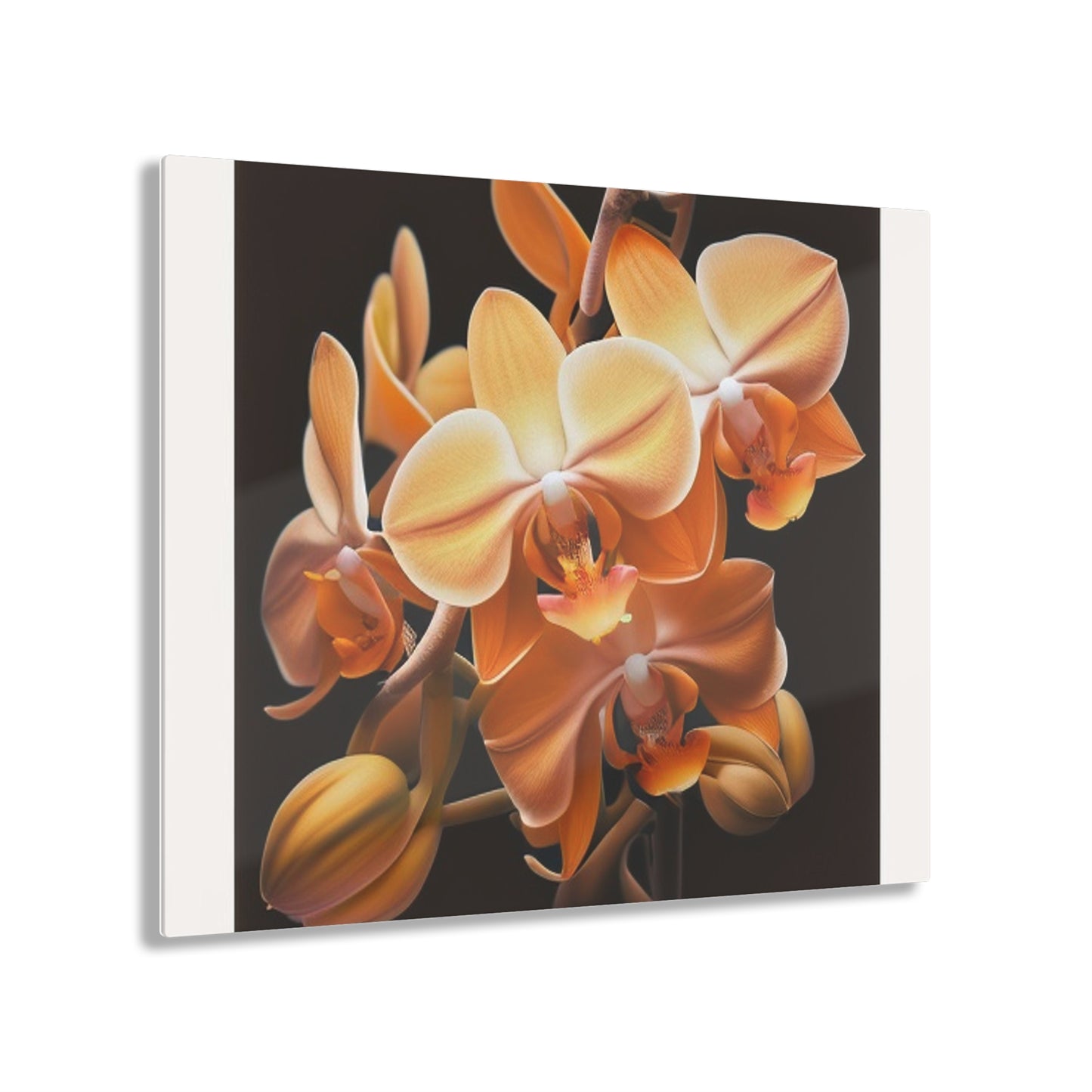 Acrylic Prints orchid pedals 1