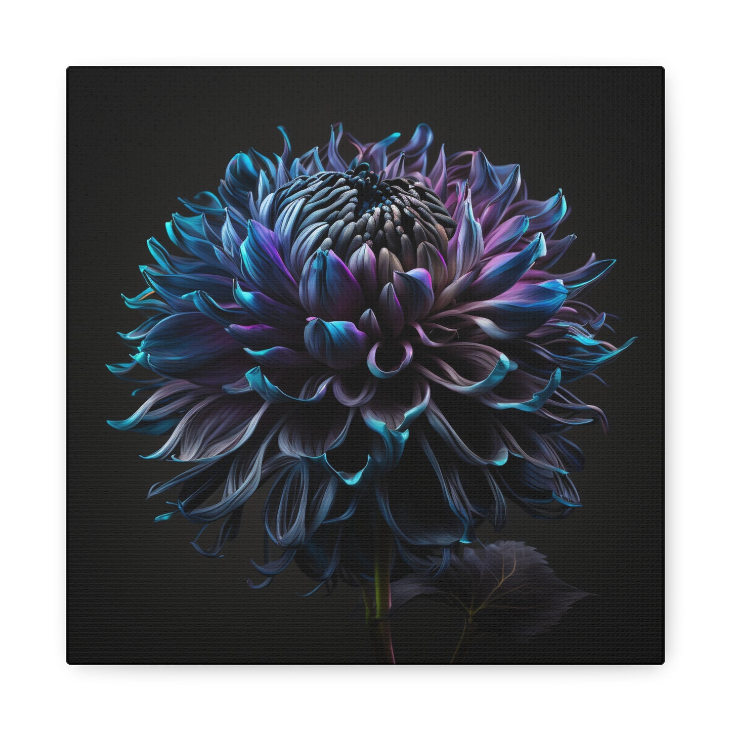 Canvas Gallery Wraps Dahlia Purple 3