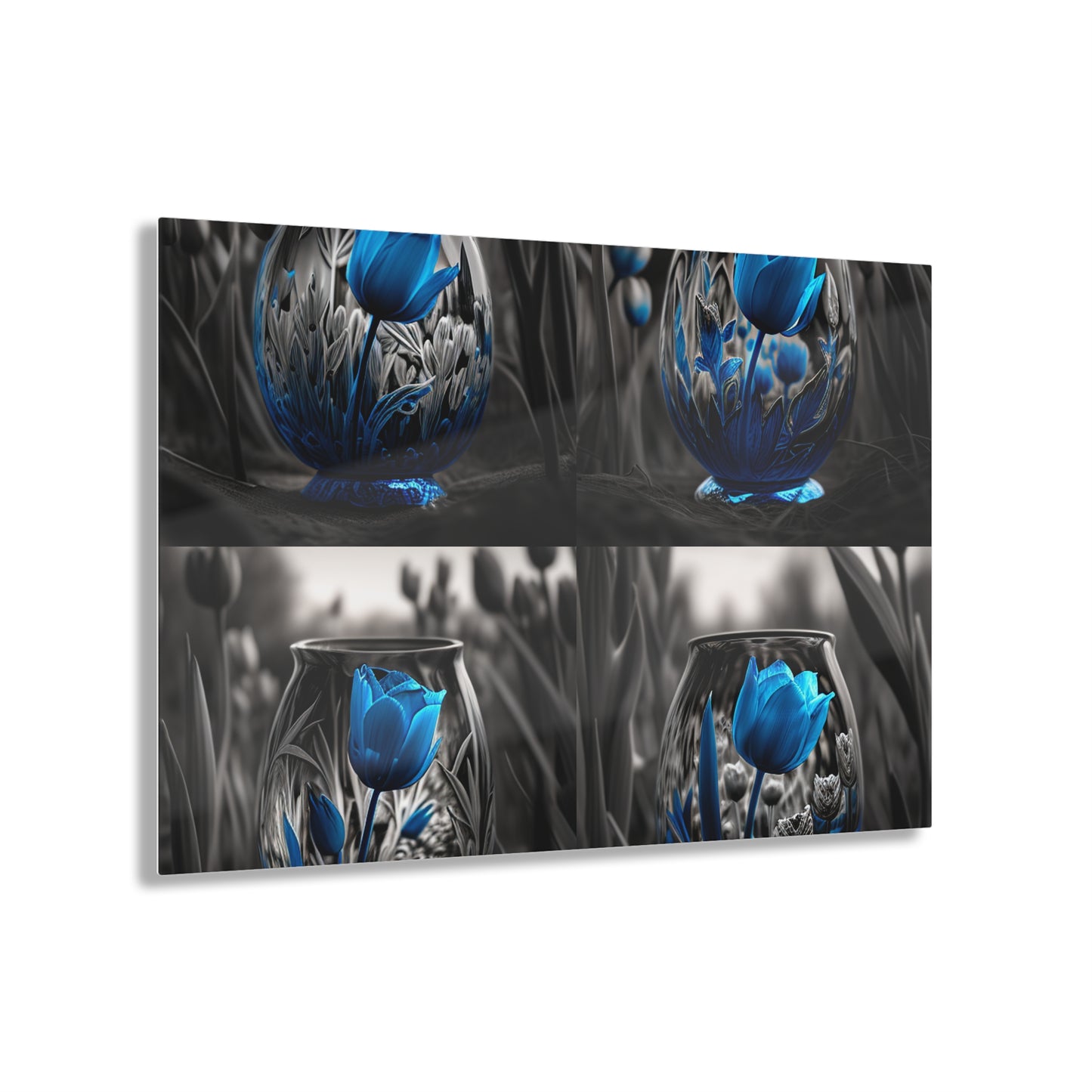 Acrylic Prints Tulip Blue 5