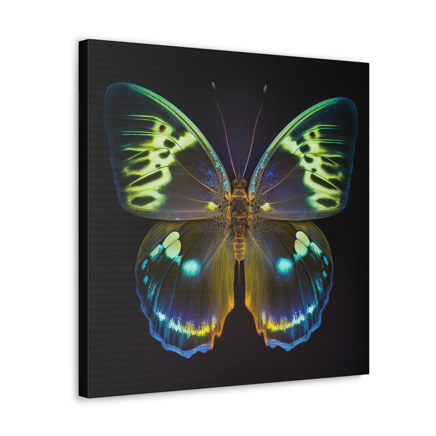 Canvas Gallery Wraps Neon Hue Butterfly 1