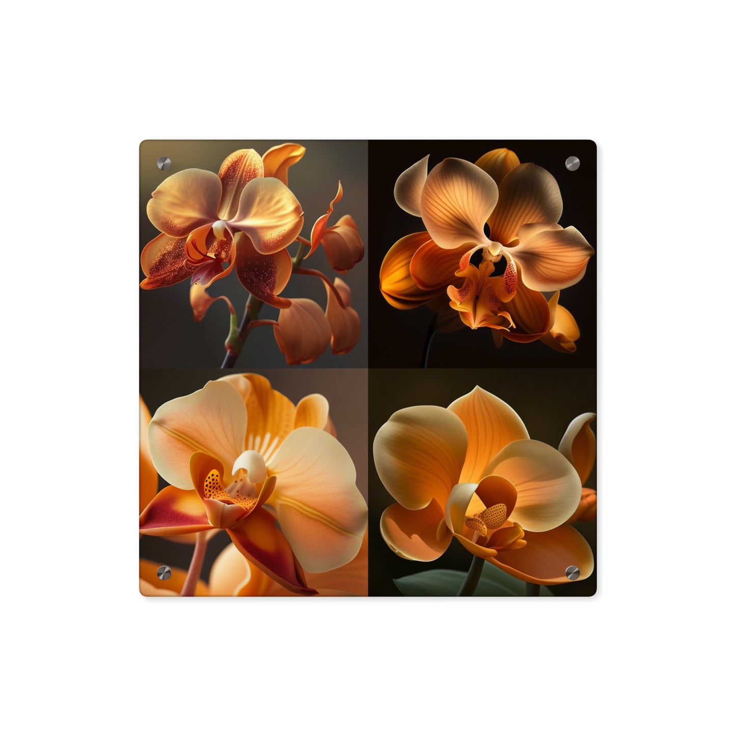 Acrylic Wall Art Panels Orange Orchid 5