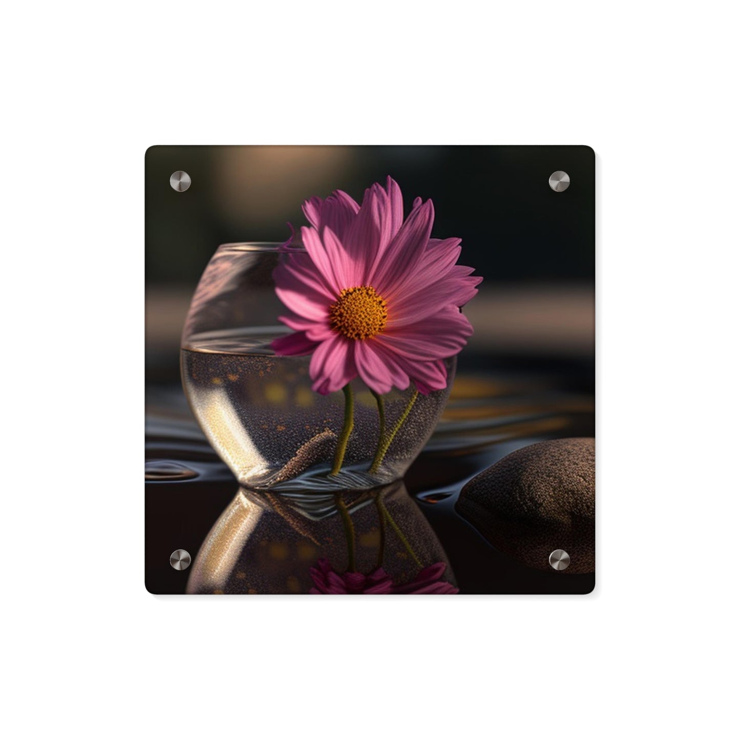 Acrylic Wall Art Panels Pink Daisy 4