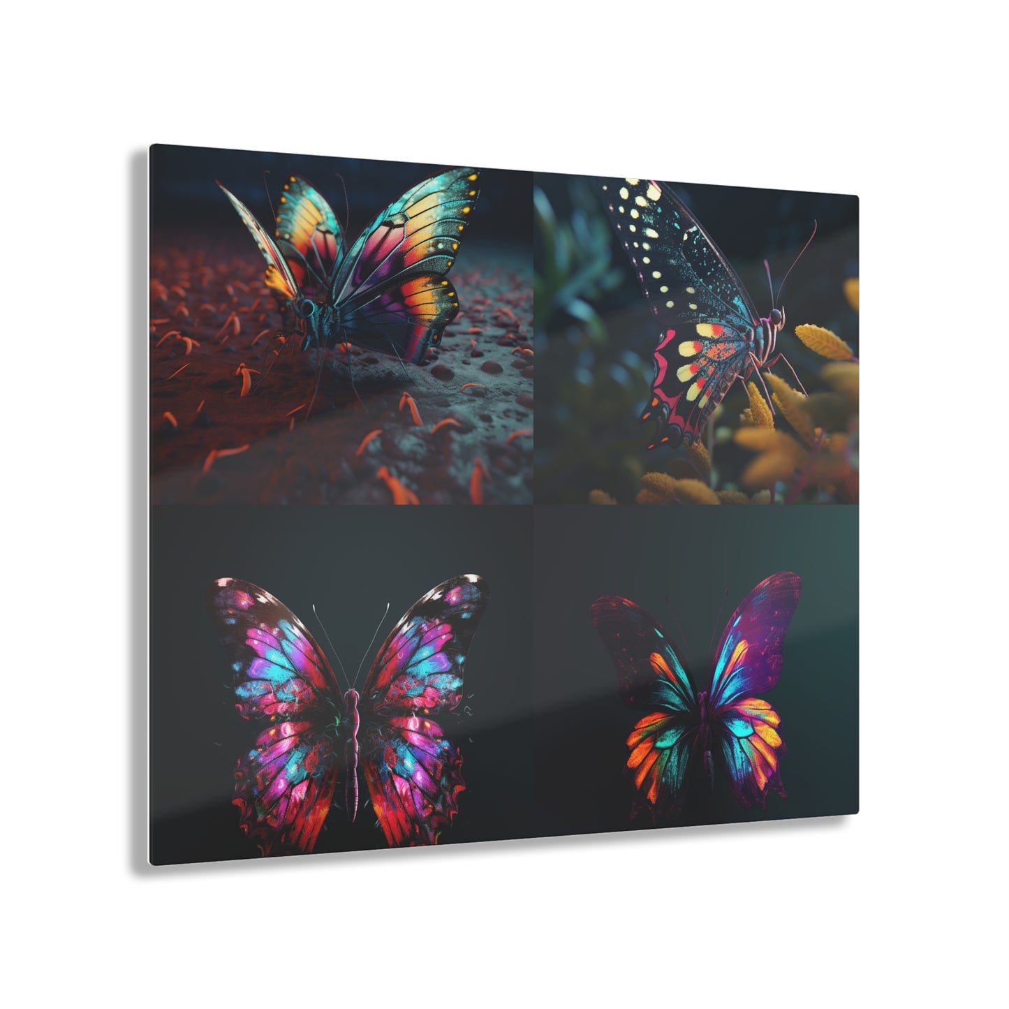 Acrylic Prints Hyper Colorful Butterfly Macro 5