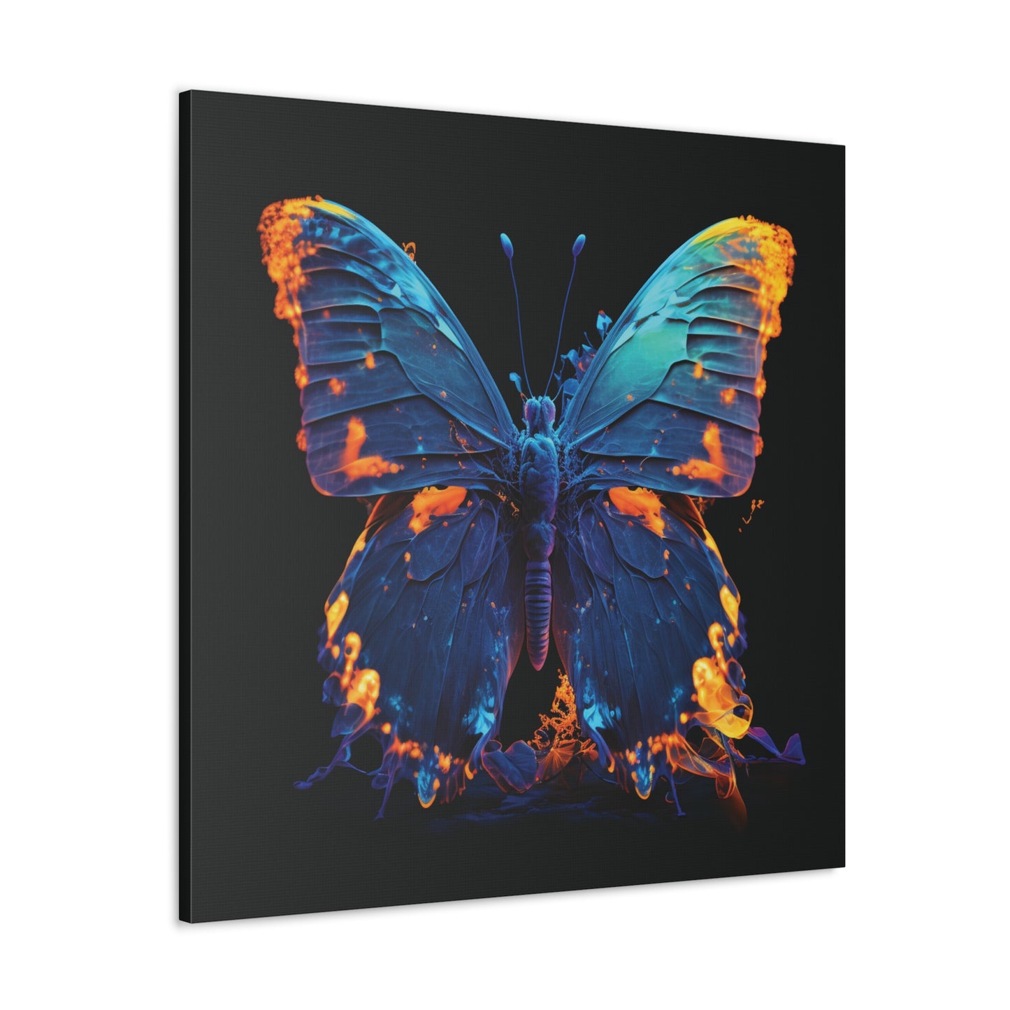 Canvas Gallery Wraps Thermal Butterfly 3